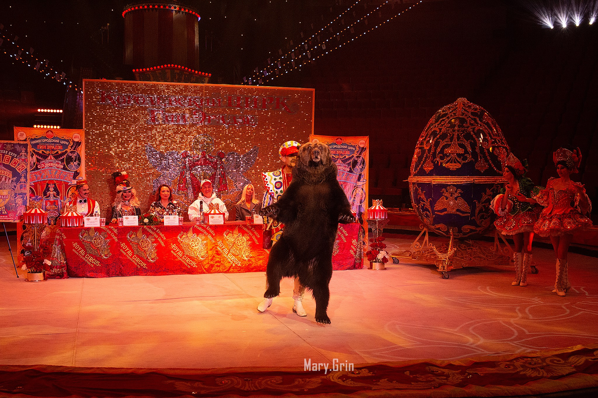 Цирк Гии Эрадзе. Детский и семейный фотограф, фотограф мероприятий Нижний Новгород