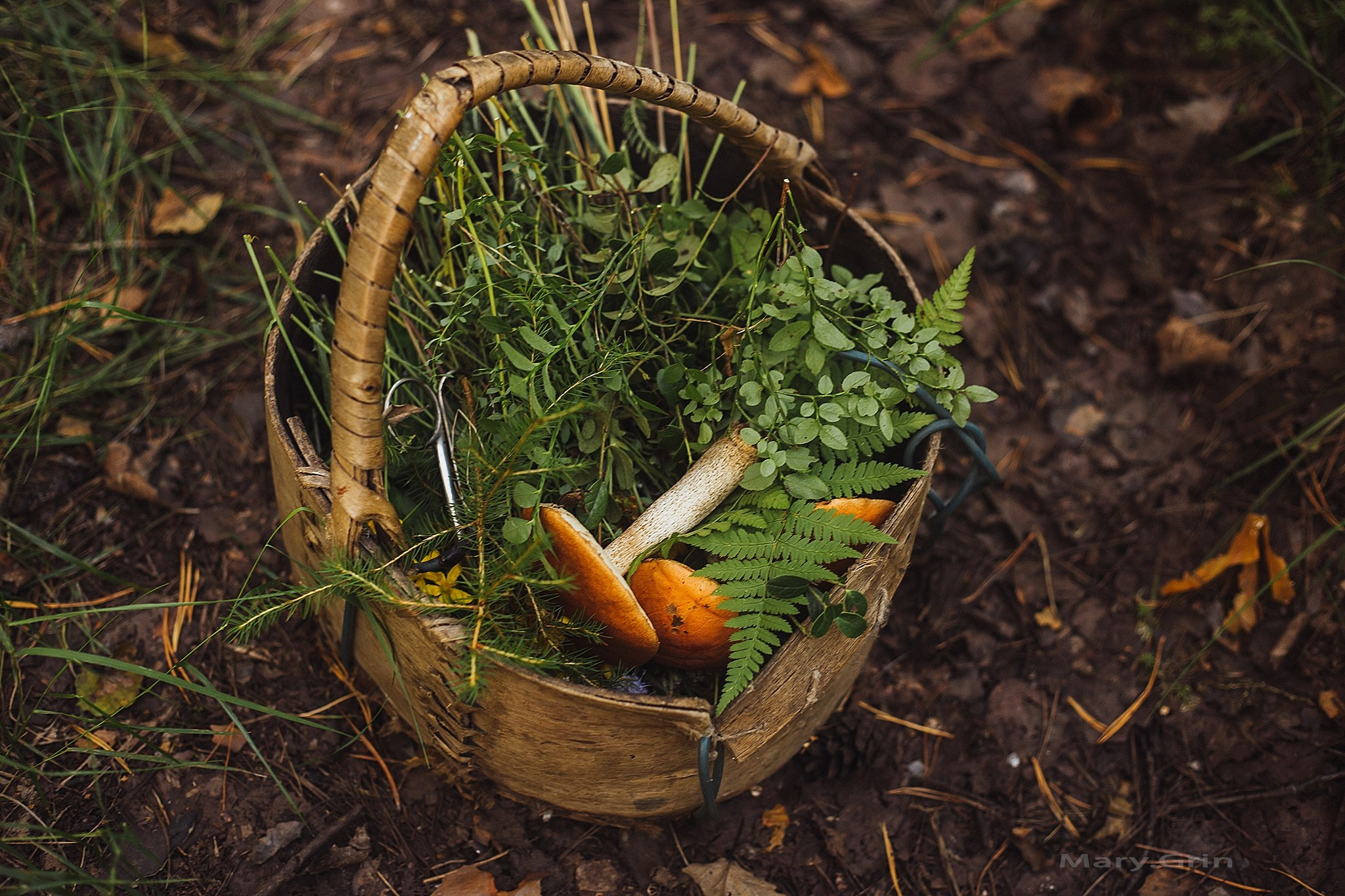Русская деревня. Детский и семейный фотограф, фотограф мероприятий Нижний Новгород