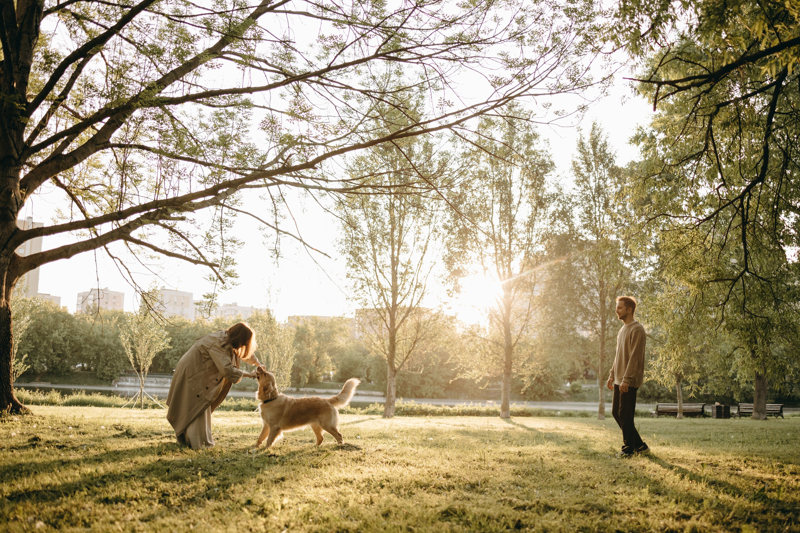 Пенни и ребята. Фотограф — Анималист | Санкт-Петербург