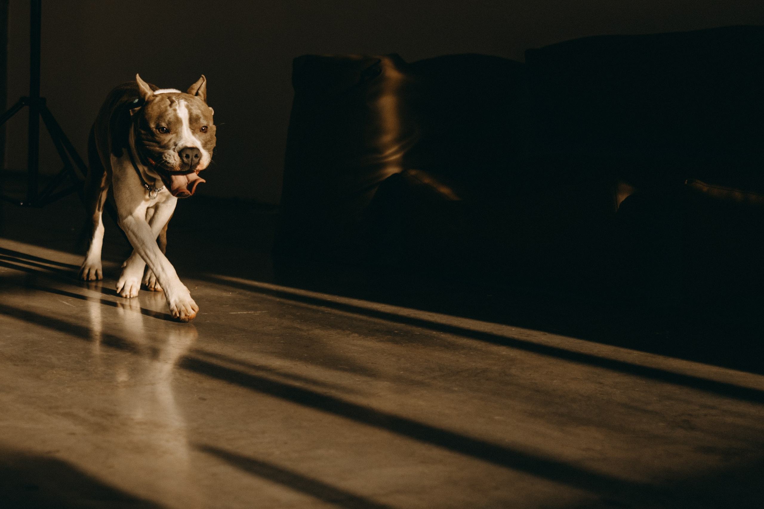 Саша и Кракен. Фотограф — Анималист | Санкт-Петербург