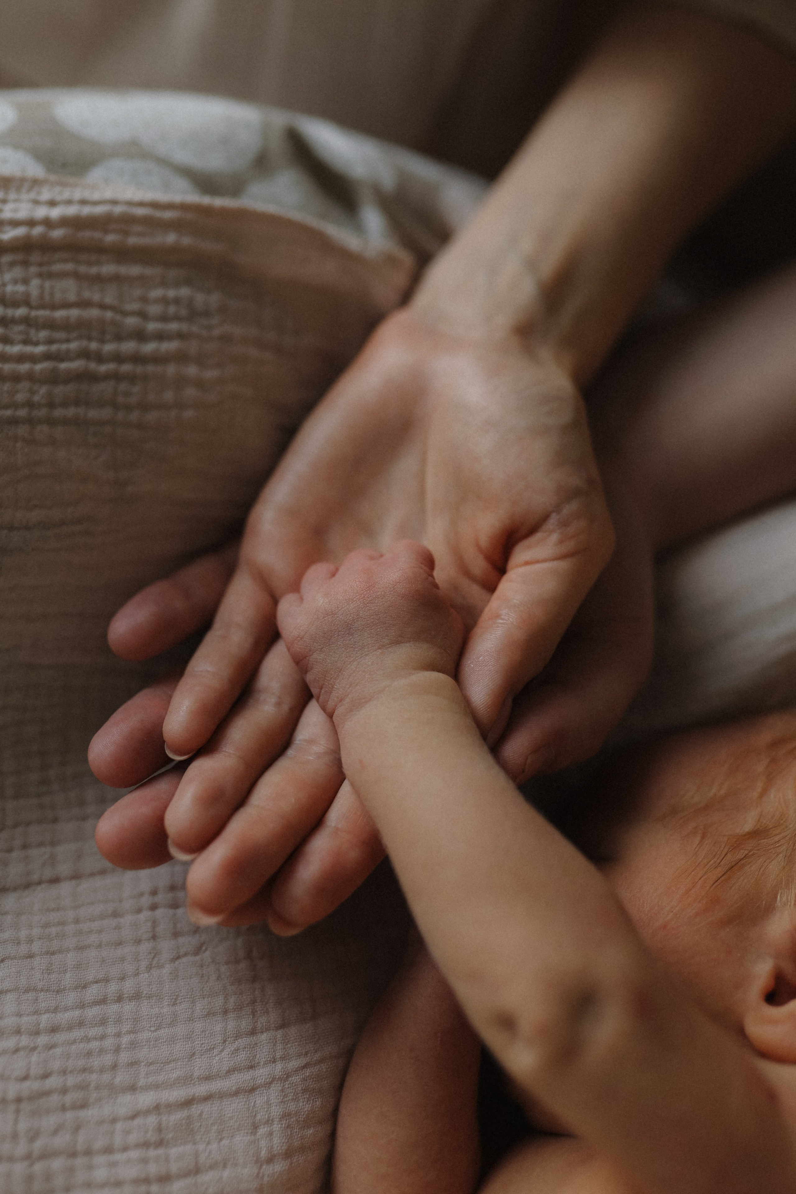 Выписка Арсения❤️. Фотограф на роды в Санкт-Петербурге, семейный, нью-борн Алиса Хрекова