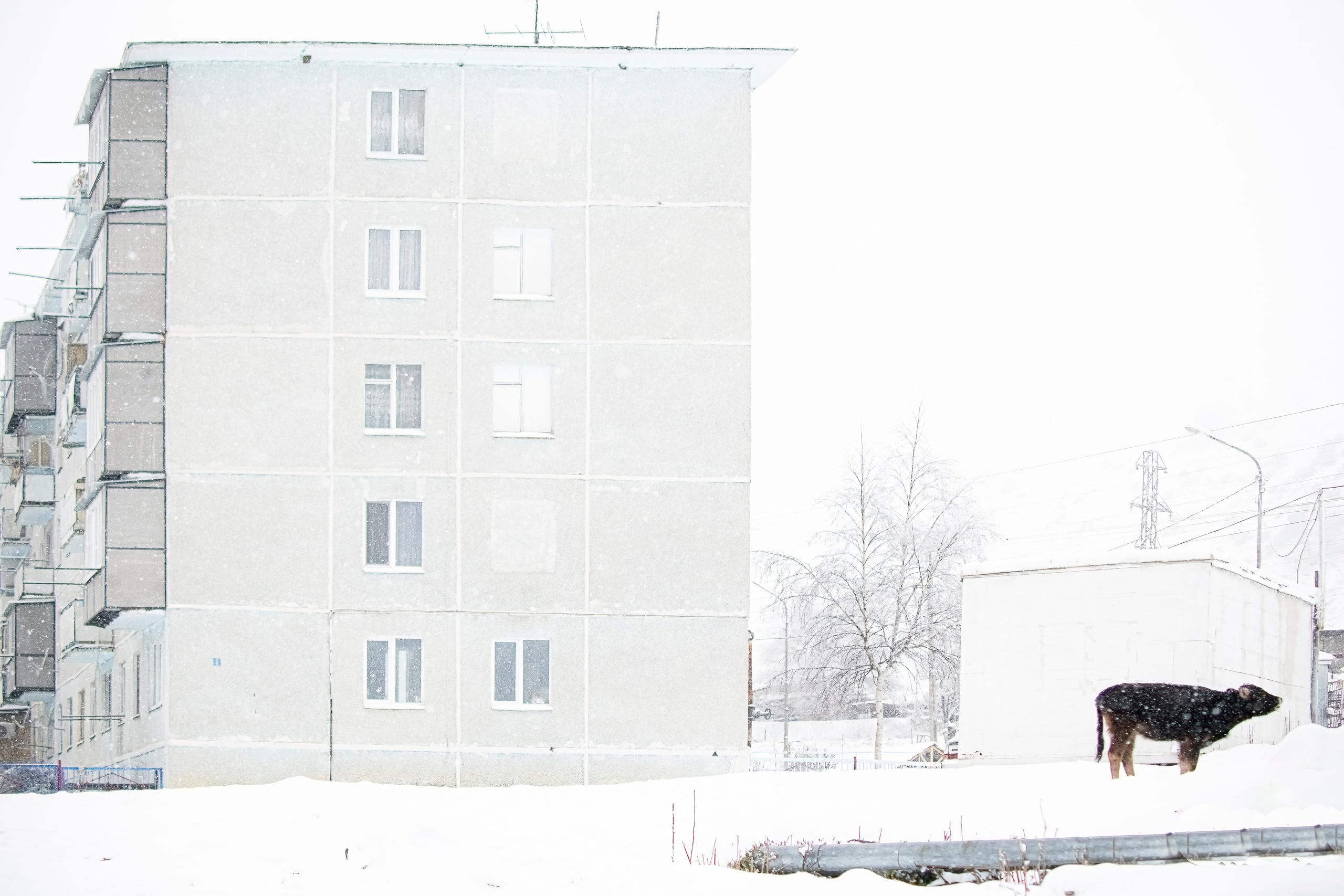 Цветные фотографии. Фотографии Лены Соколовой