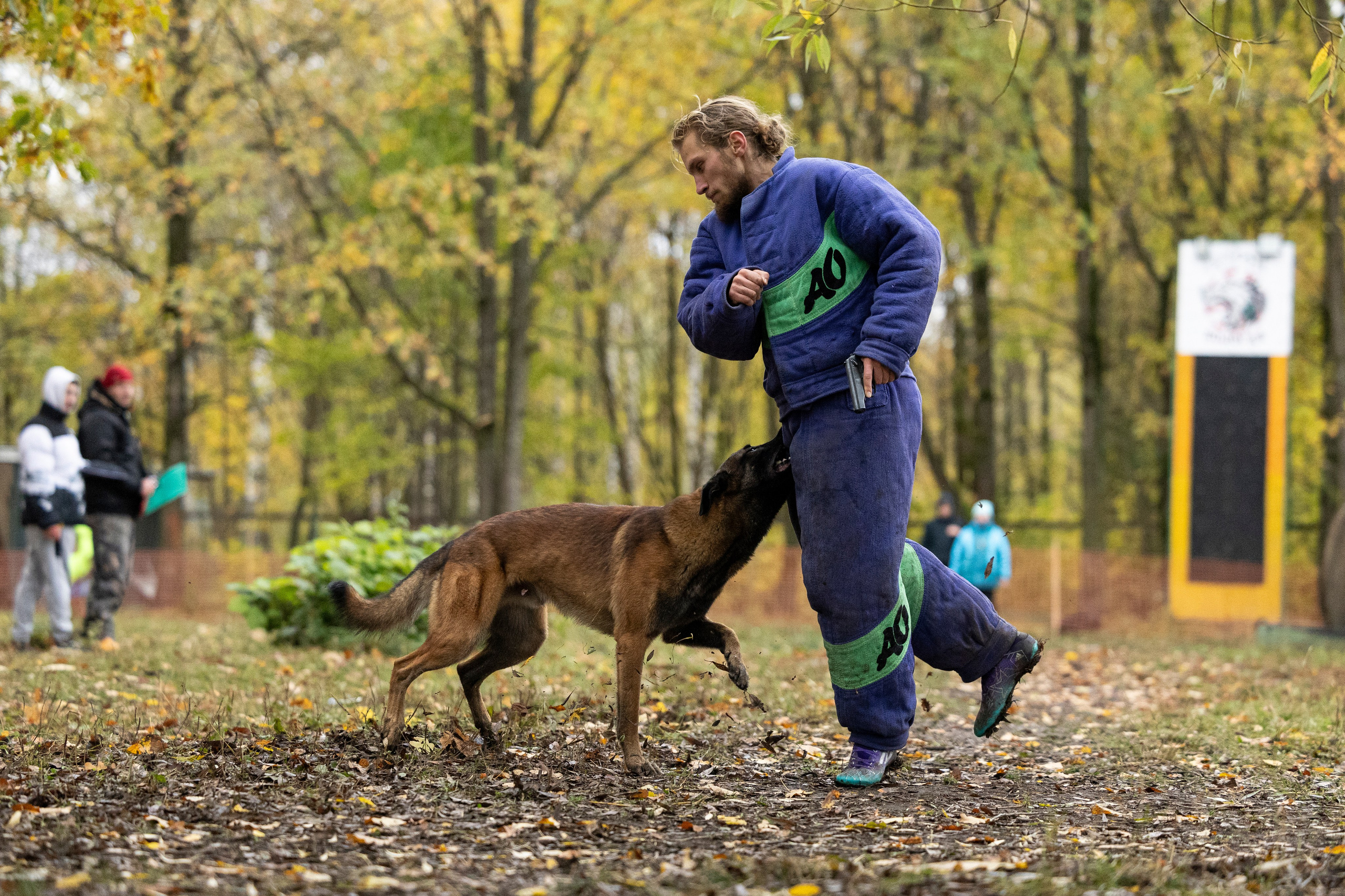Соревнования по Мондьорингу г. Вологда. Фотограф-анималист Анна Маринич