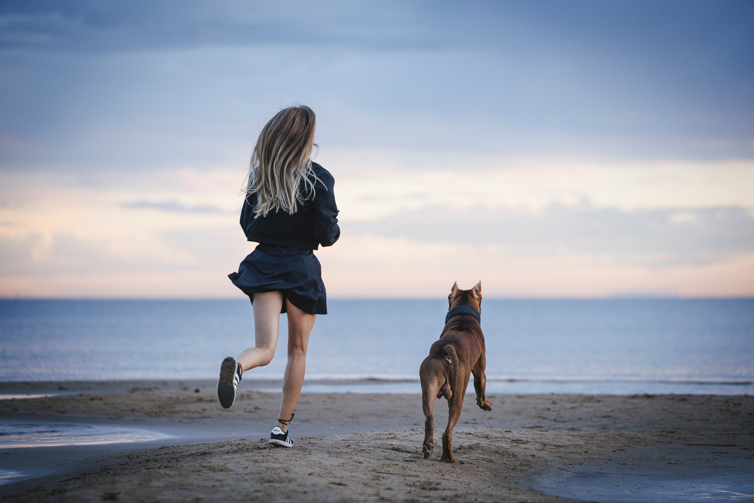 Яна и Энди. Фотограф-анималист Анна Маринич