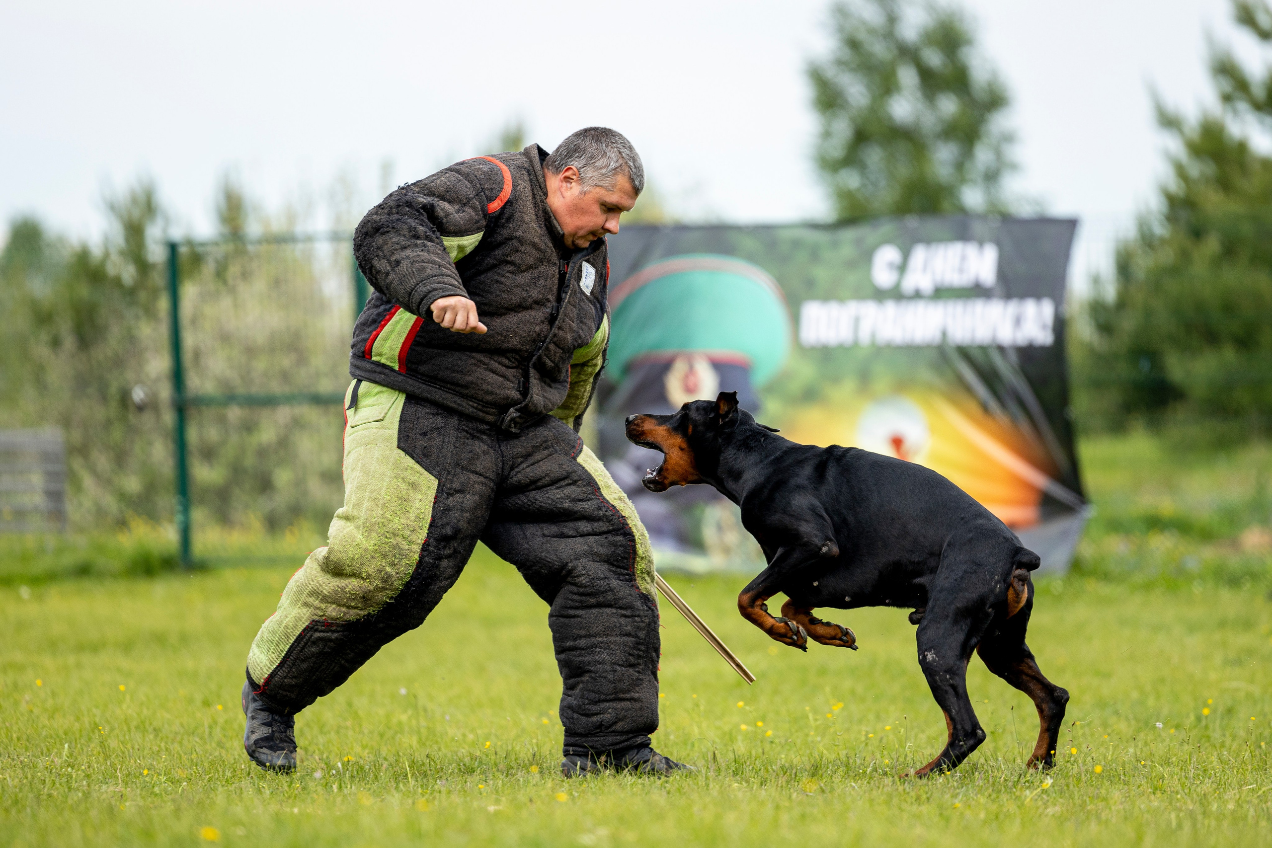 Испытания по мондьорингу в Нижнем Новгороде. Фотограф-анималист Анна Маринич