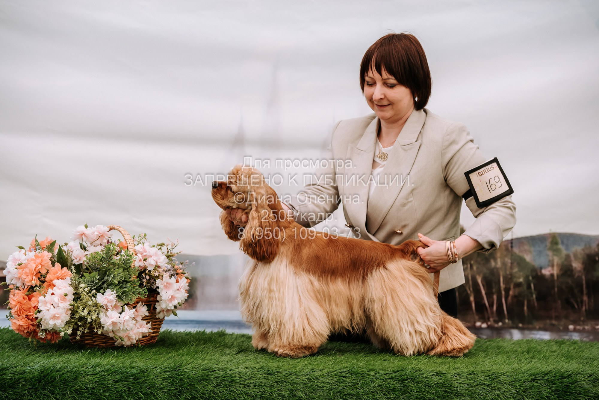 Выставка собак Красноярск 2.06. Фотограф Диана Оленина Красноярск / Братск