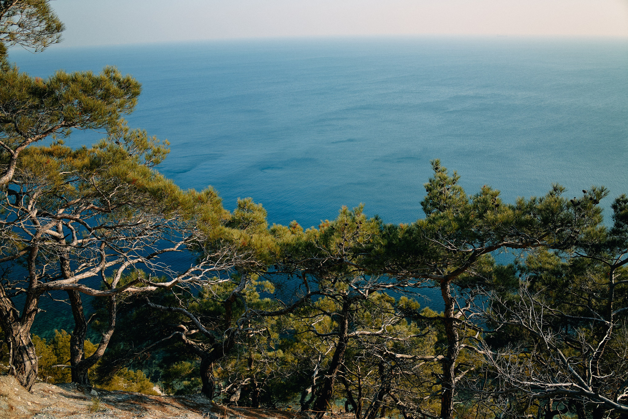 Юг России. Профессиональный Фотограф во Владимире, в Москве и в Суздале — Полина Романычева