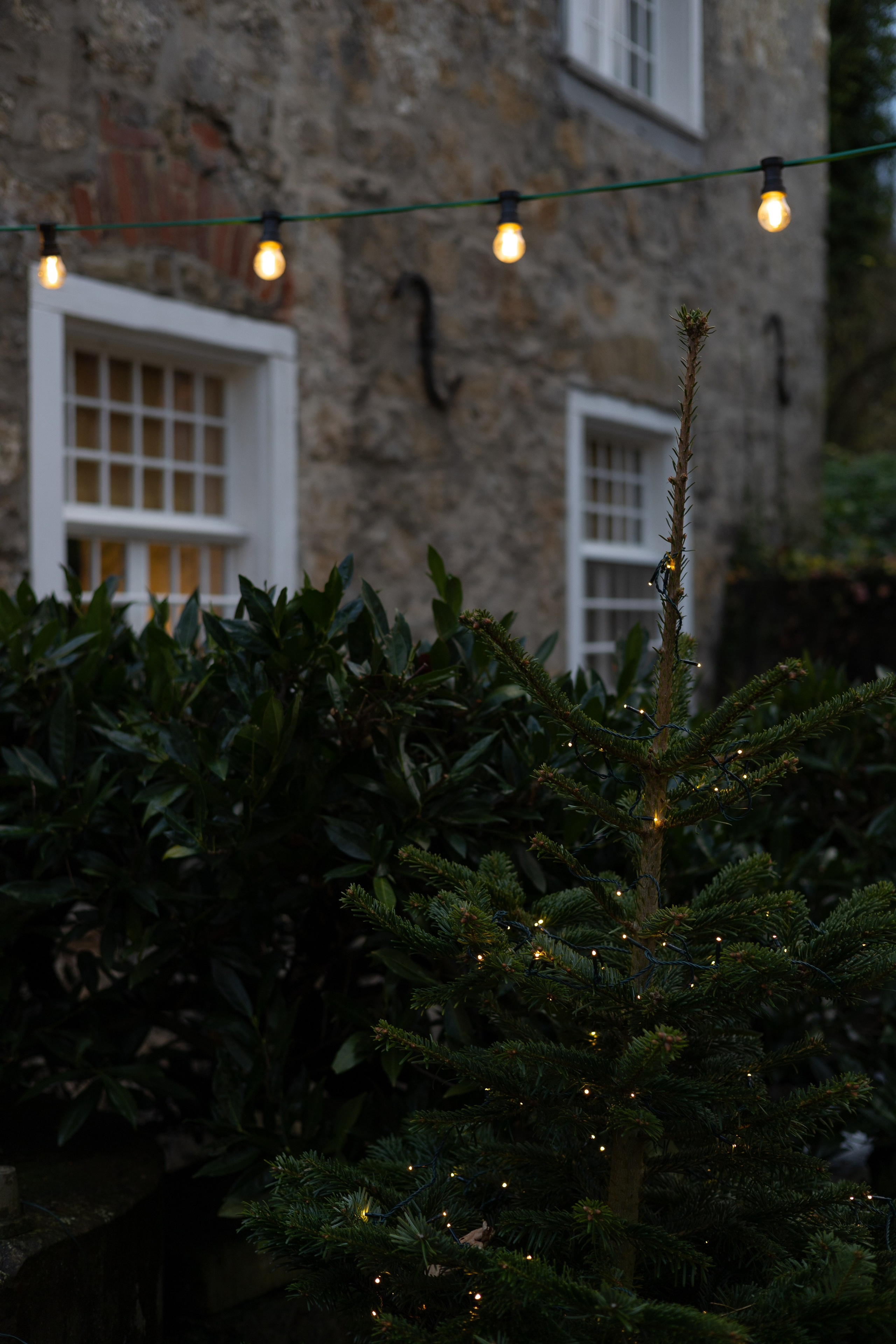 Christmas Fairy Tale. ITMAG.ME | Visual Art