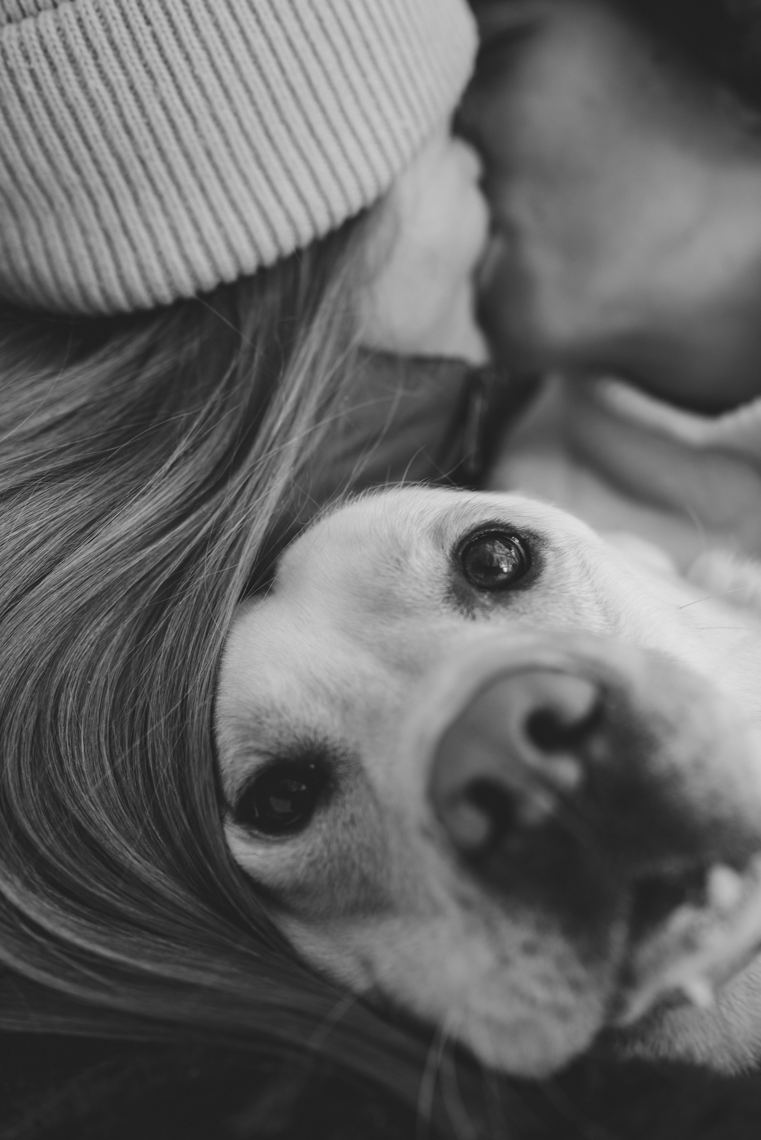 Анна, Влад и Рони. Семейный фотограф в Москве Дарья Пузикова