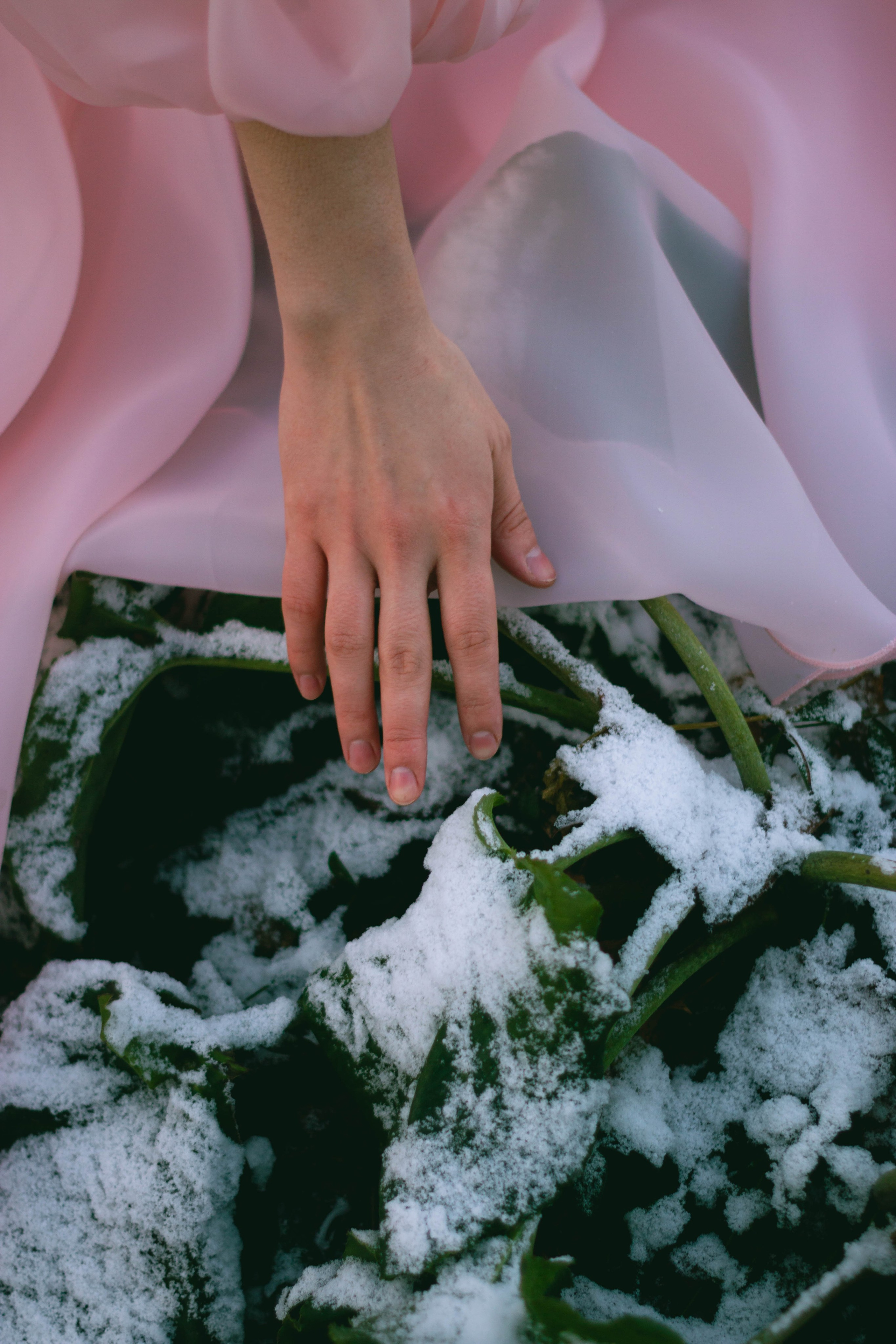 Портретные съемки. Портретный фотограф из Санкт-Петербурга — Дана Мария