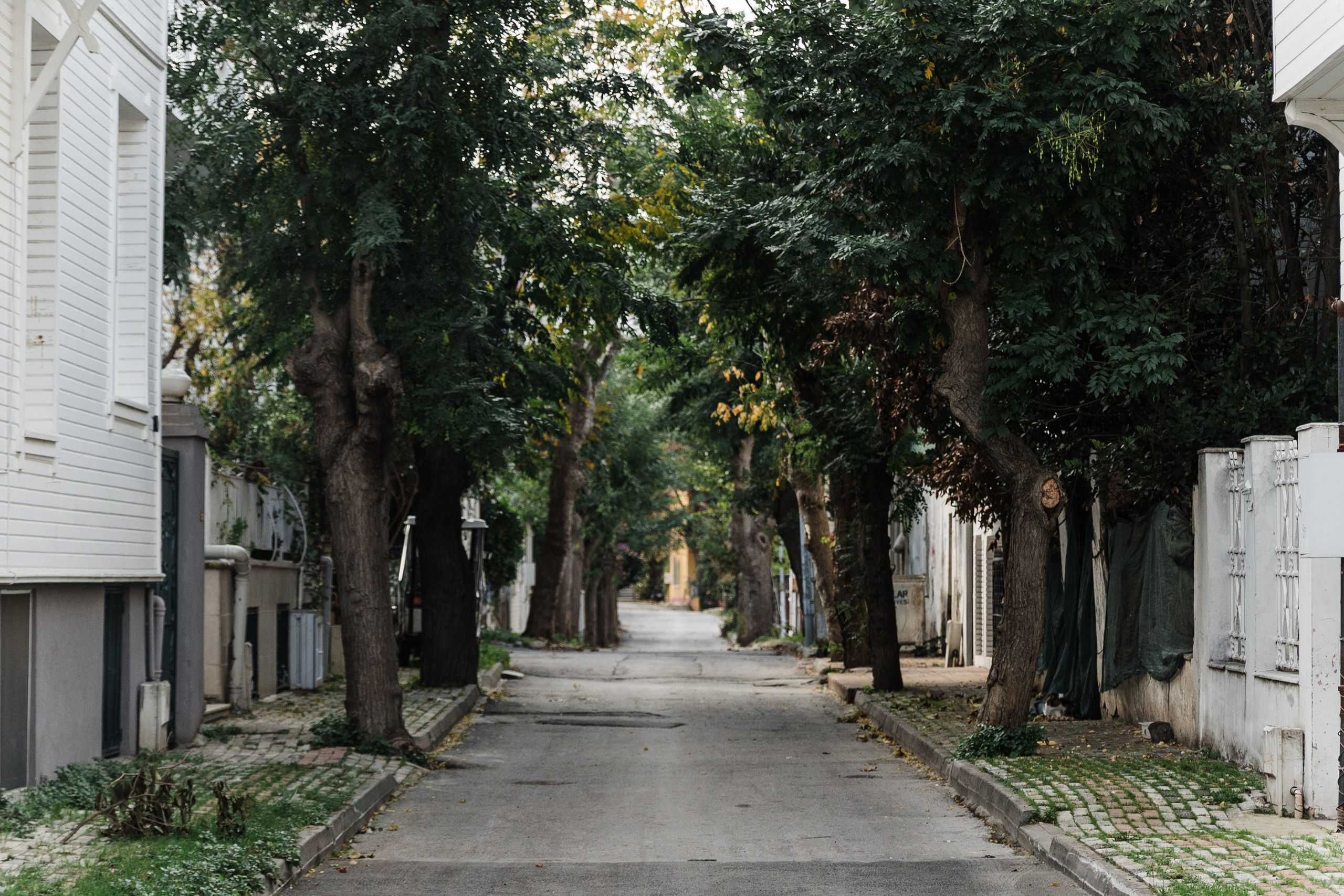 Türkiye. Свадебный и семейный фотограф в Краснодаре Роман Моско