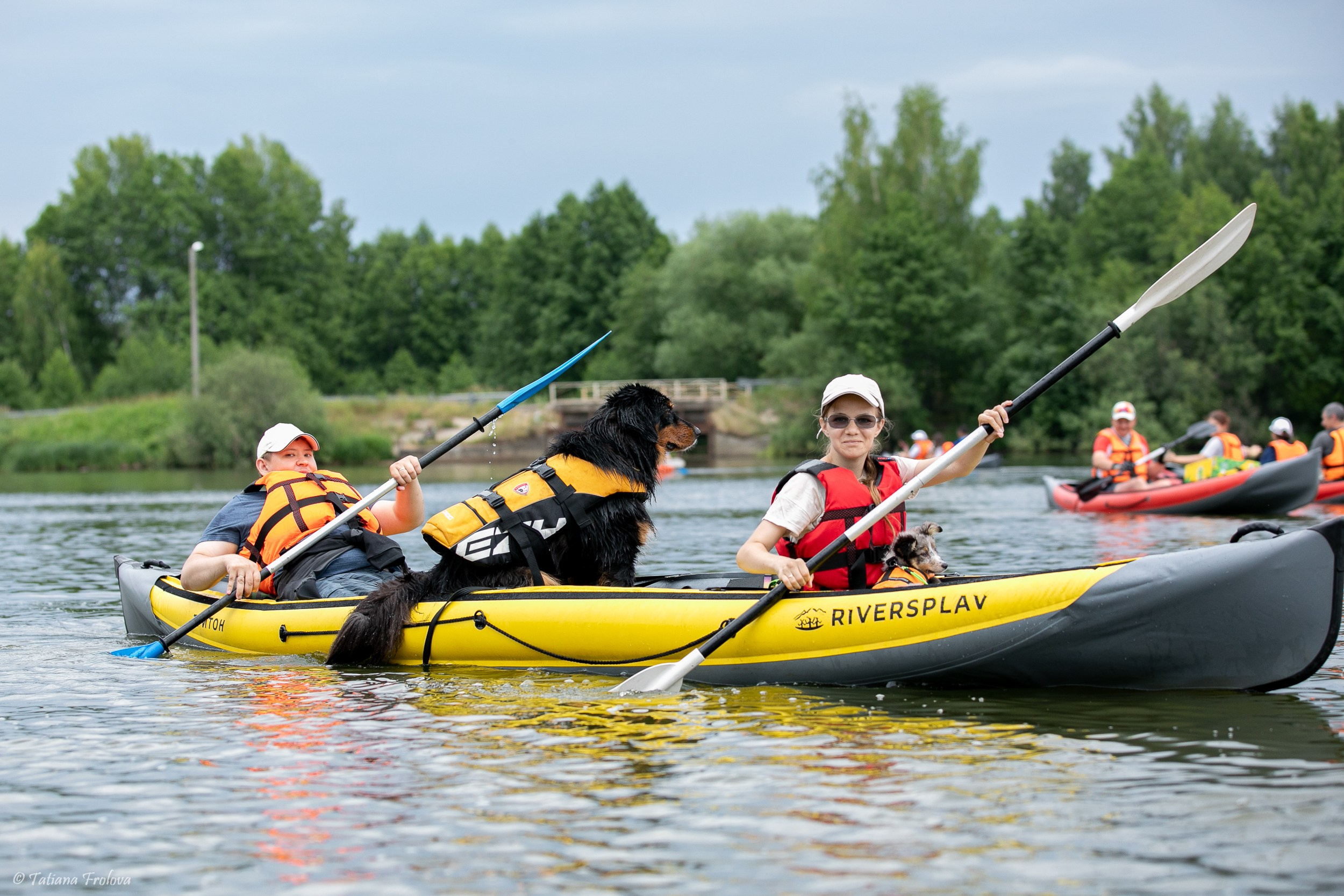 Фотоочет о сплаве на байдарках вместе с собаками. Фотограф-анималист в Москве и Московской области Татьяна Фролова