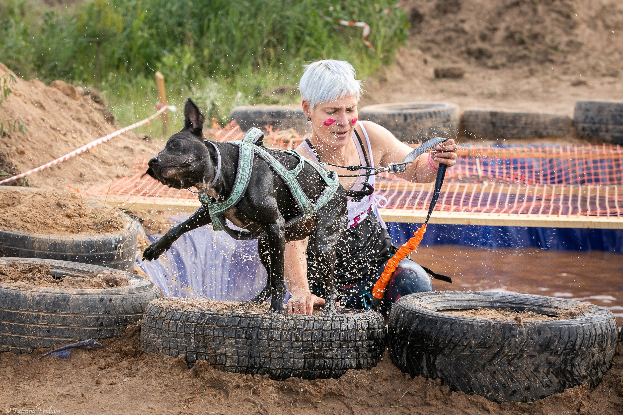 Фоторепортаж с забега с собаками. Фотограф-анималист в Москве и Московской области Татьяна Фролова