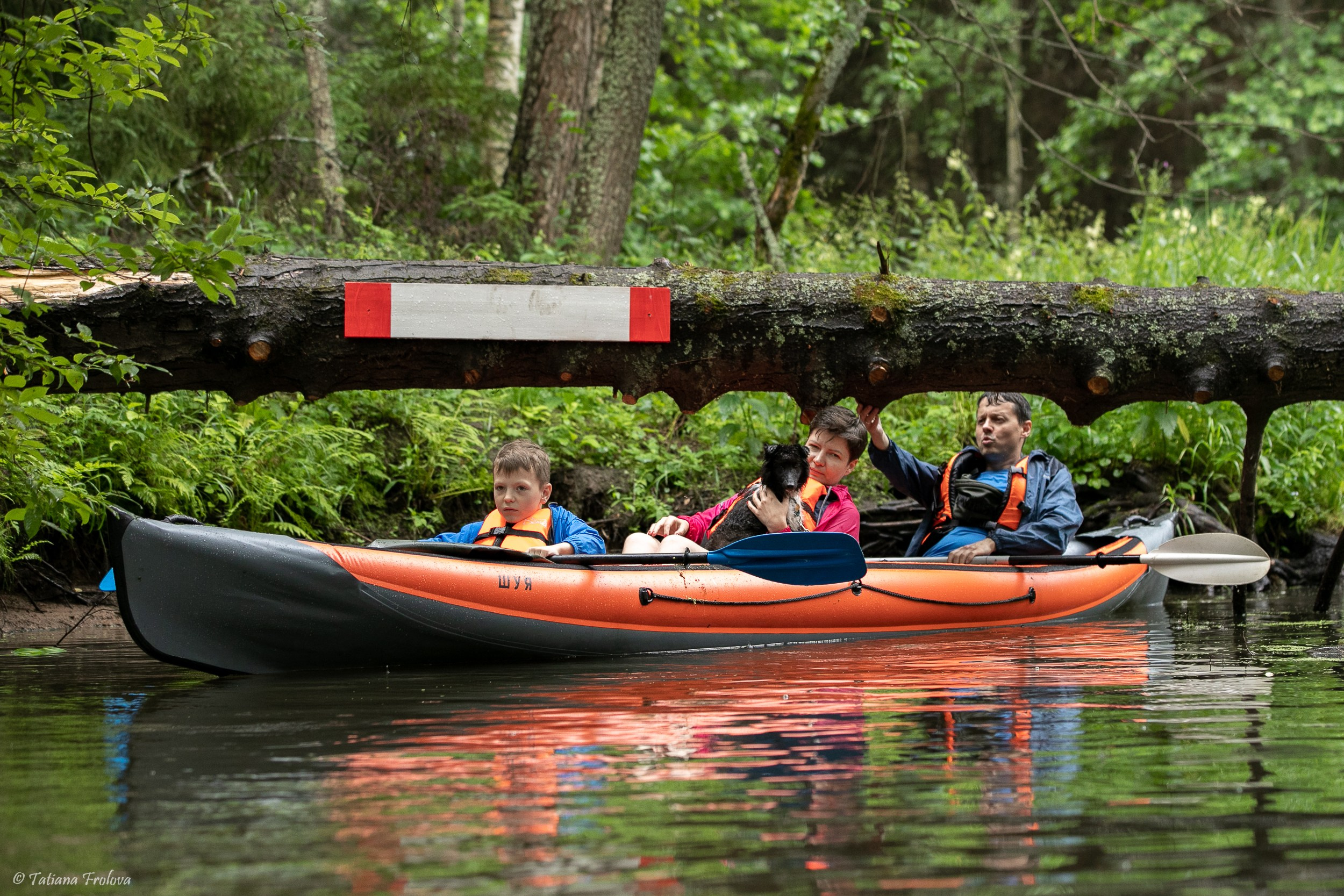 Фотоочет о сплаве на байдарках вместе с собаками. Фотограф-анималист в Москве и Московской области Татьяна Фролова