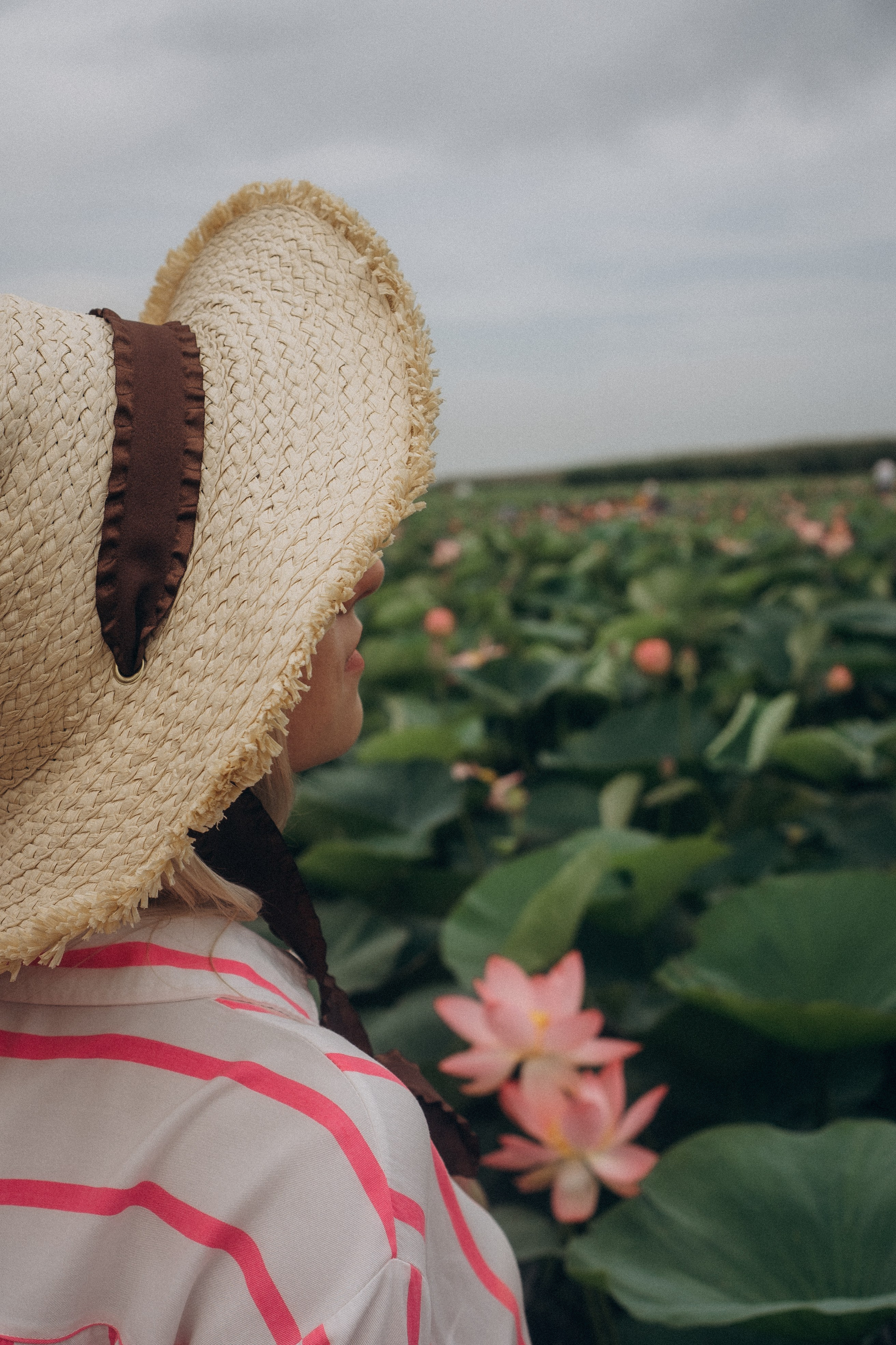 ЛОТОСОВАЯ ПОЛЯНА. Профессиональный фотограф, Санкт-Петербург — Виктория Богомолова