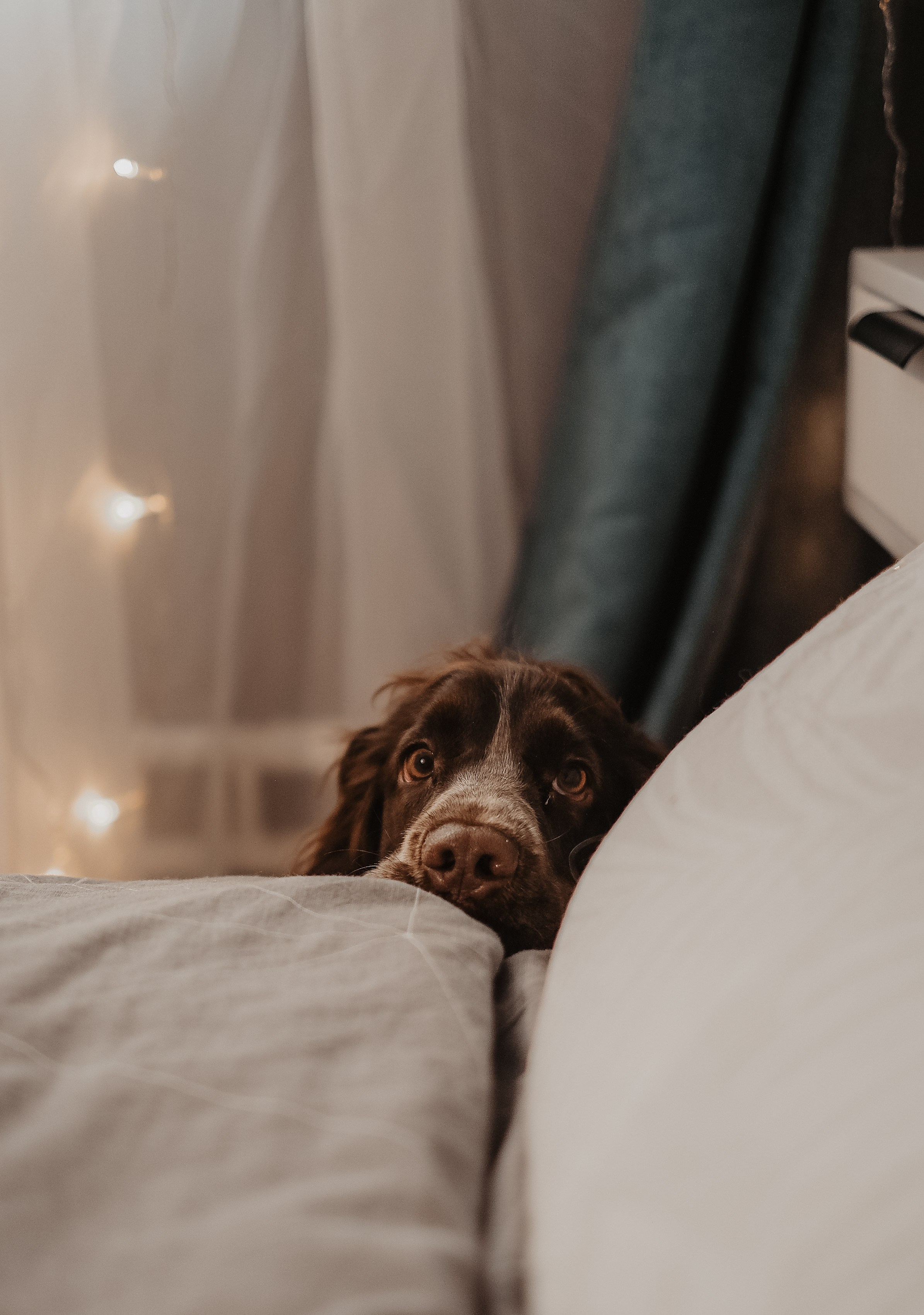 Ожидание. Фотограф и видеограф в Москве Полина Абраменкова