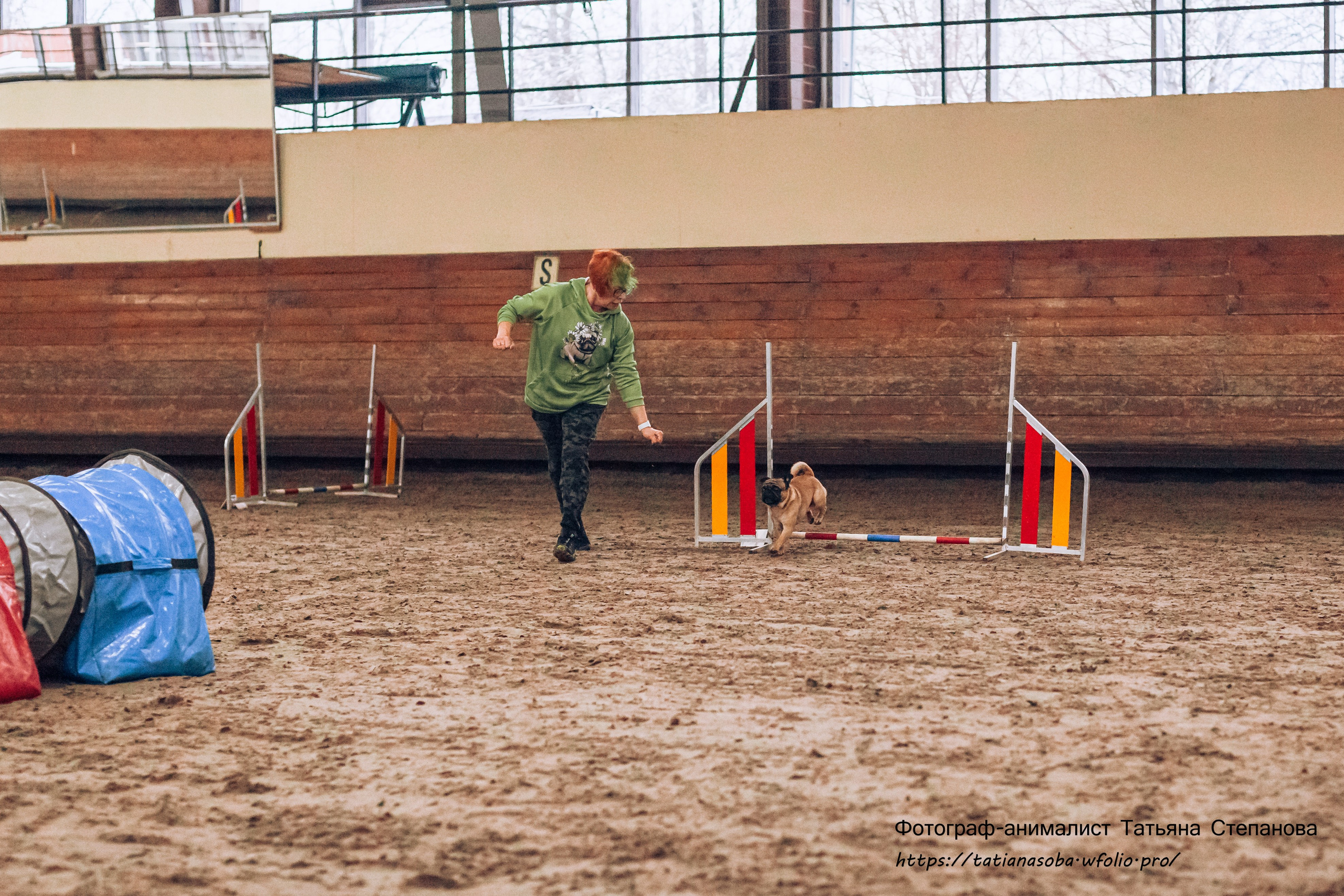 Соревнования по Аджилити 25.02.2024. Фотограф-анималист Татьяна Степанова