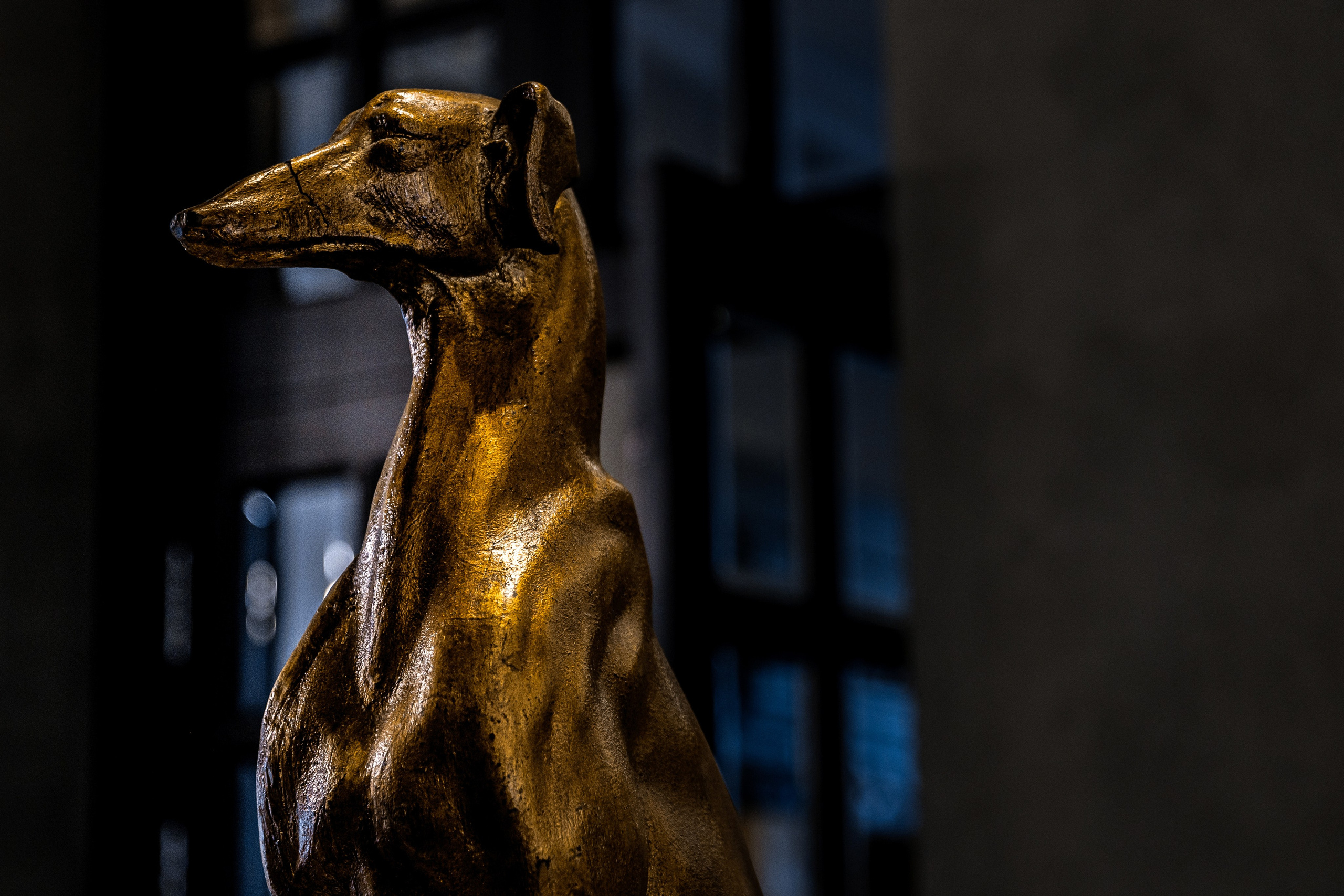 Hub Shipping. Свадебный репортажный фотограф в Москве