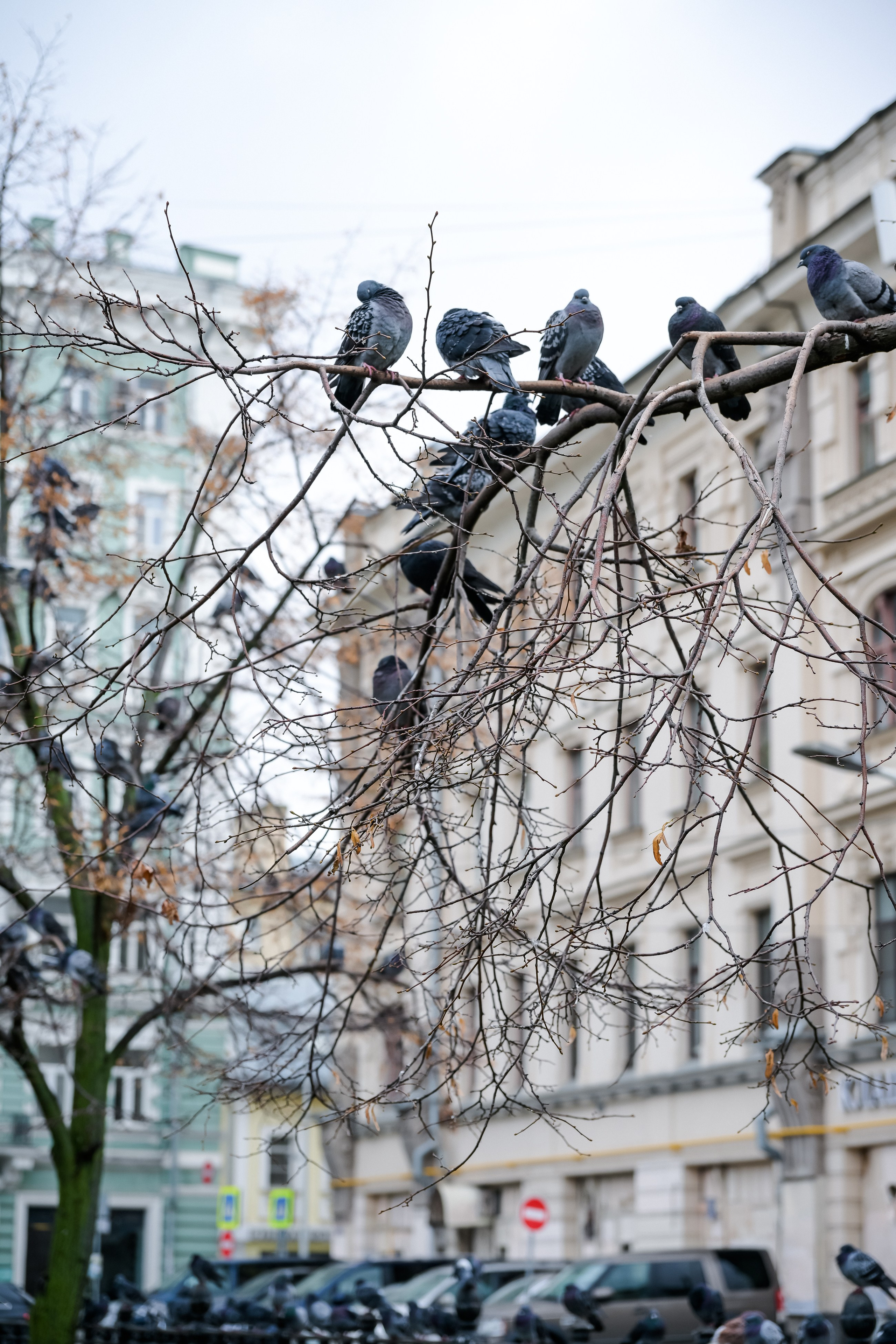 Фотограф в Самаре