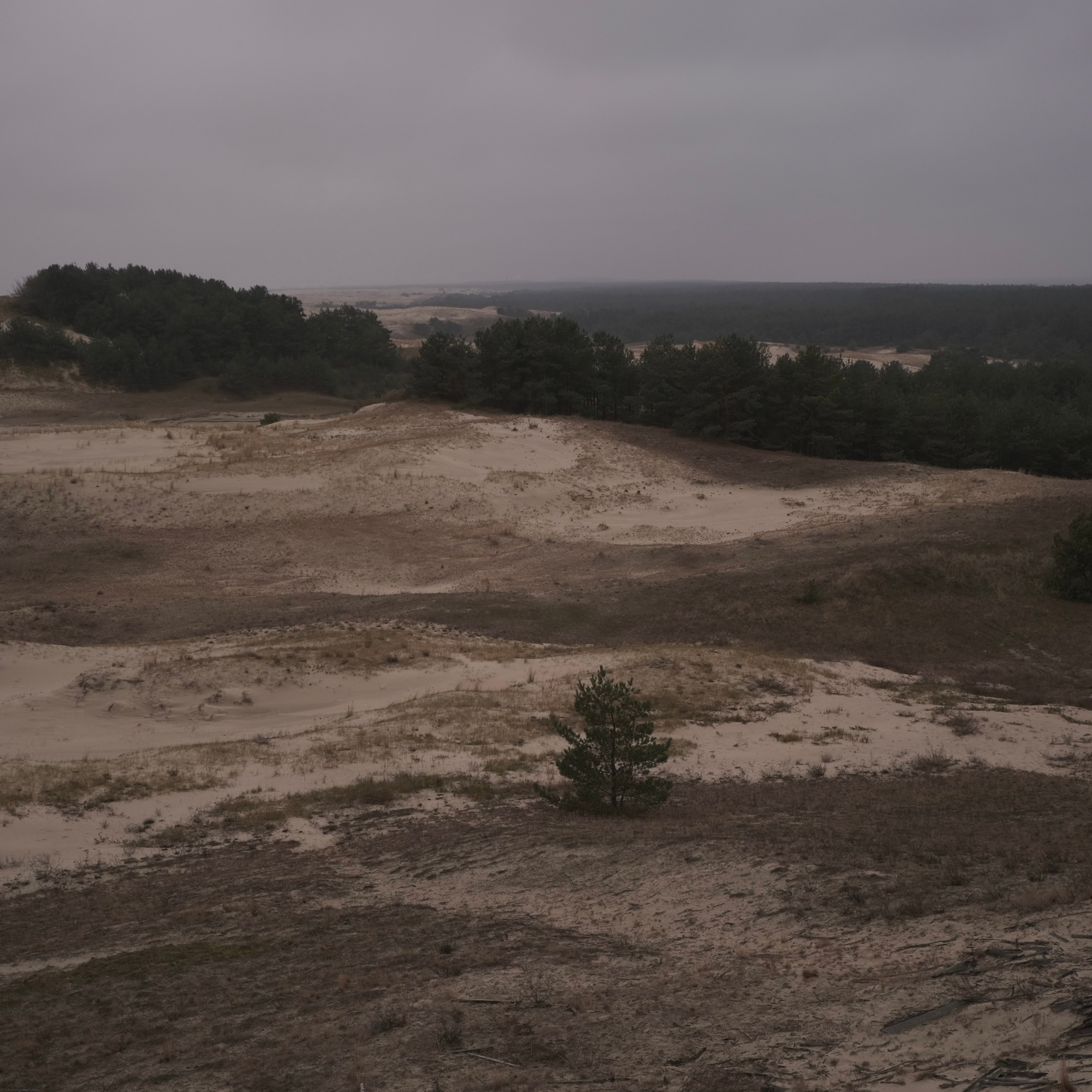 Калининград. LIYALEE PHOTO