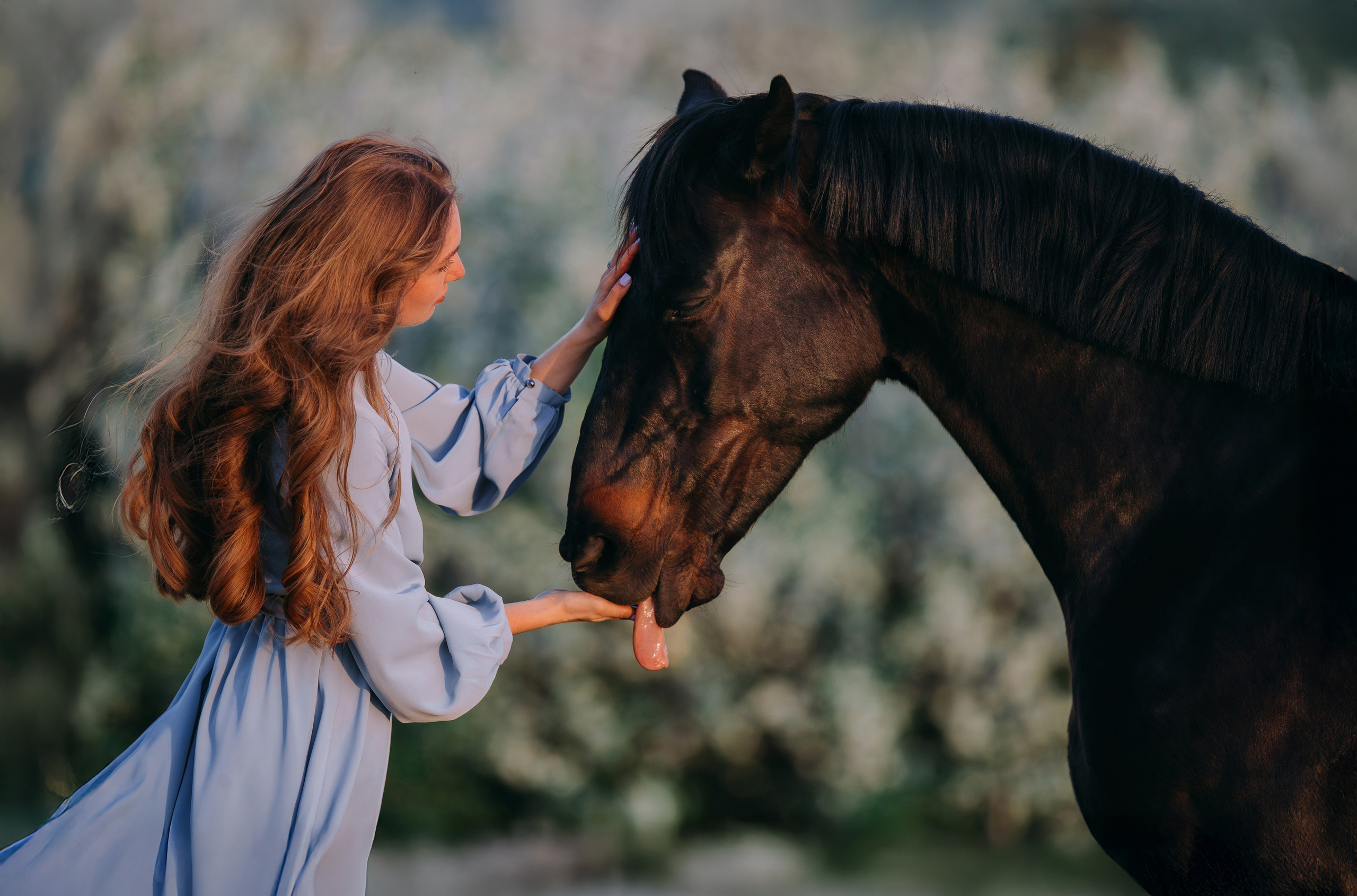 Вероника и Брэй. Фотограф-анималист Ксендзова Кристина