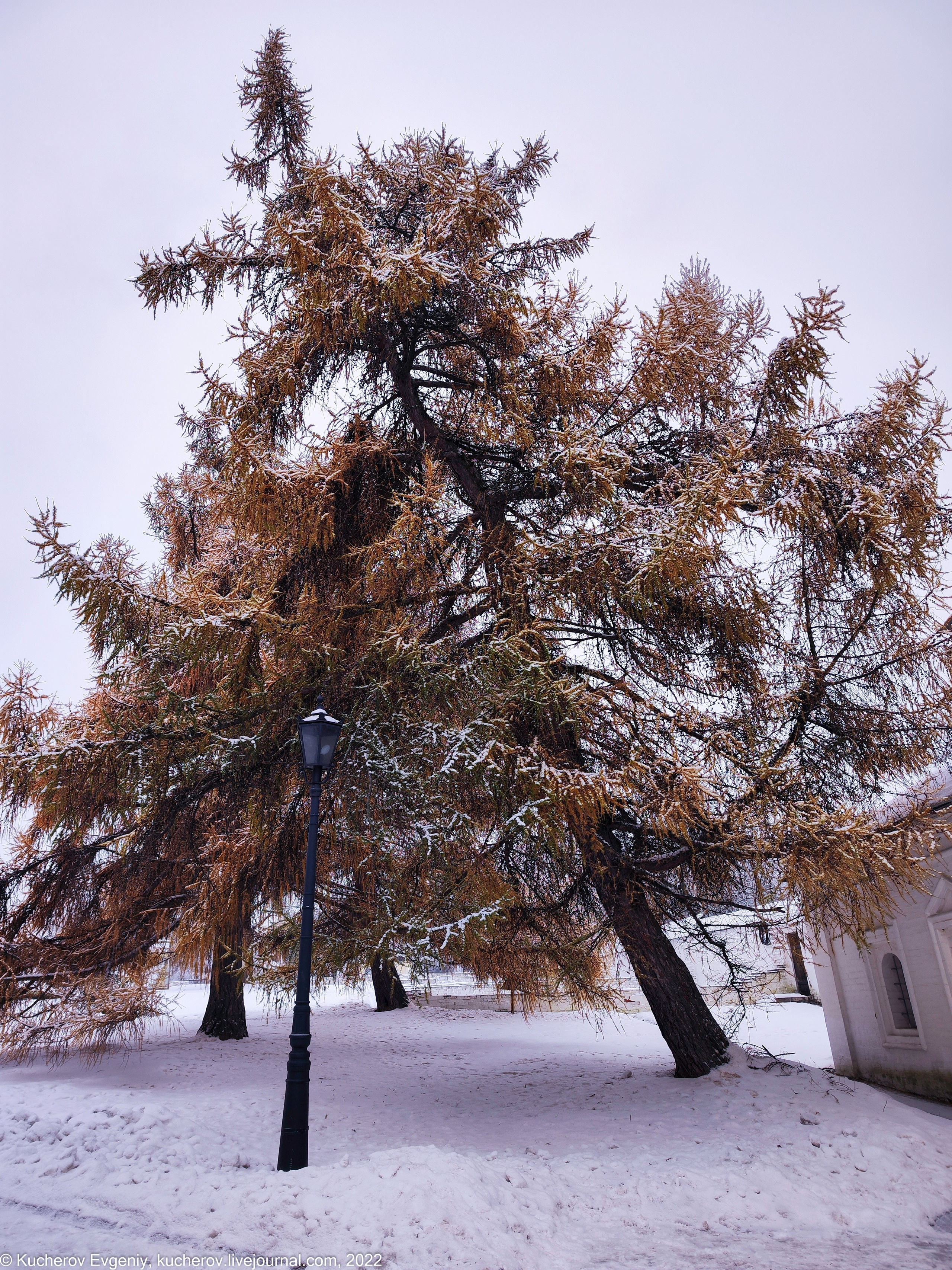 Коломенское. Кучеров Евгений. Фотограф