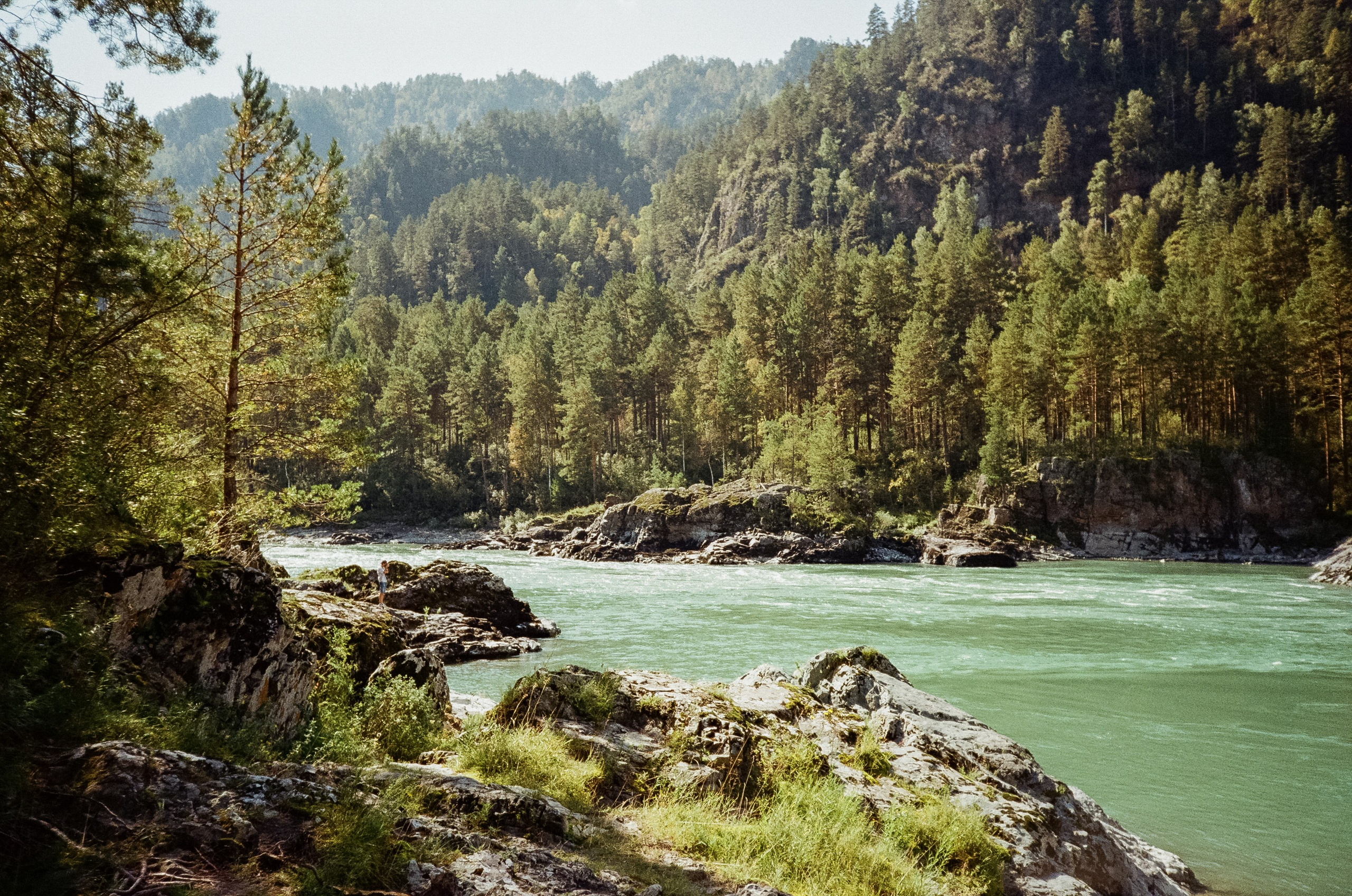 Кедровый остров. Бирюзовая Катунь. Фотограф-документалист Мария Осокина