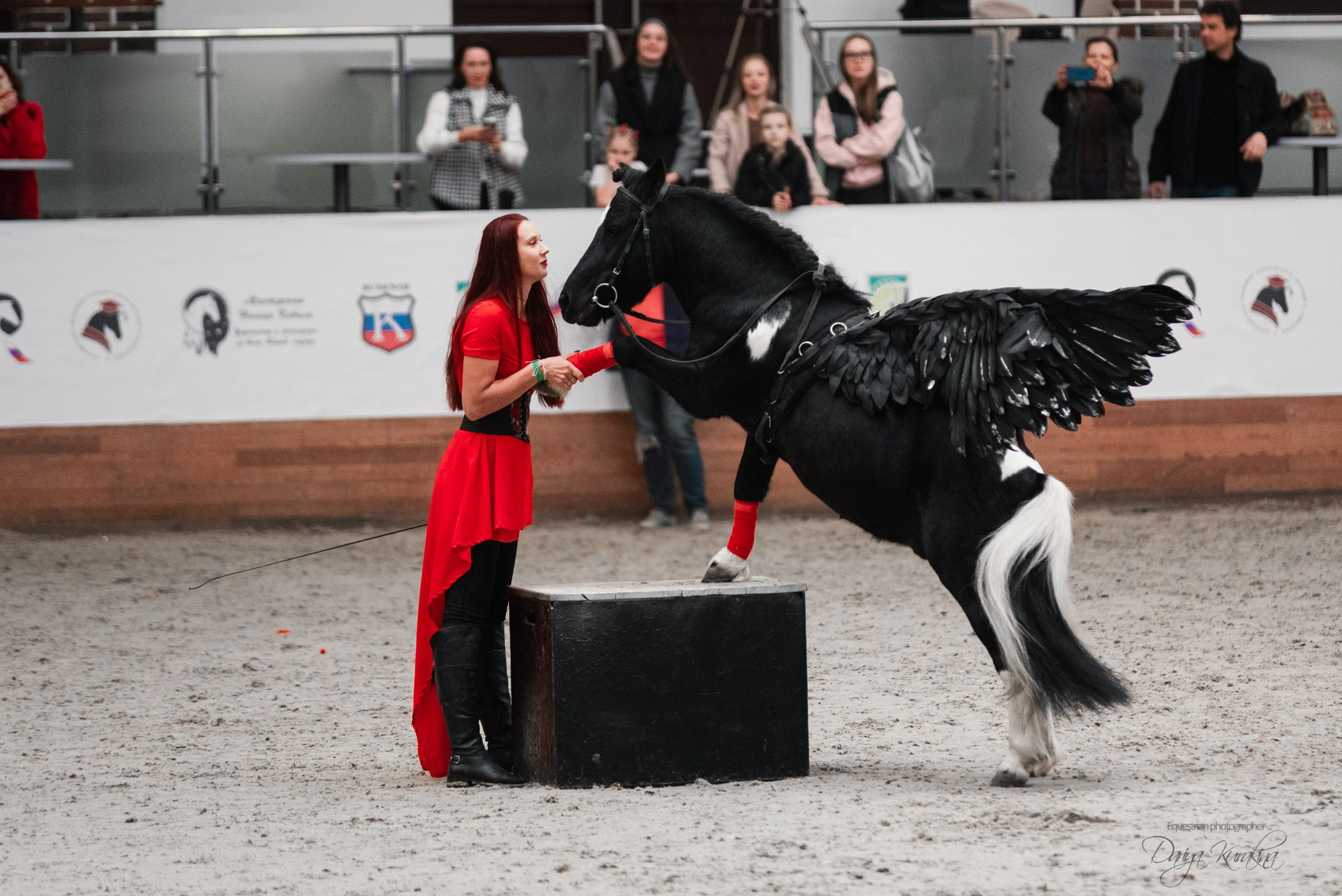 8-я международная выставка Конная Россия. Конный фотограф Куракина Дарья • Фотосессии с лошадьми
