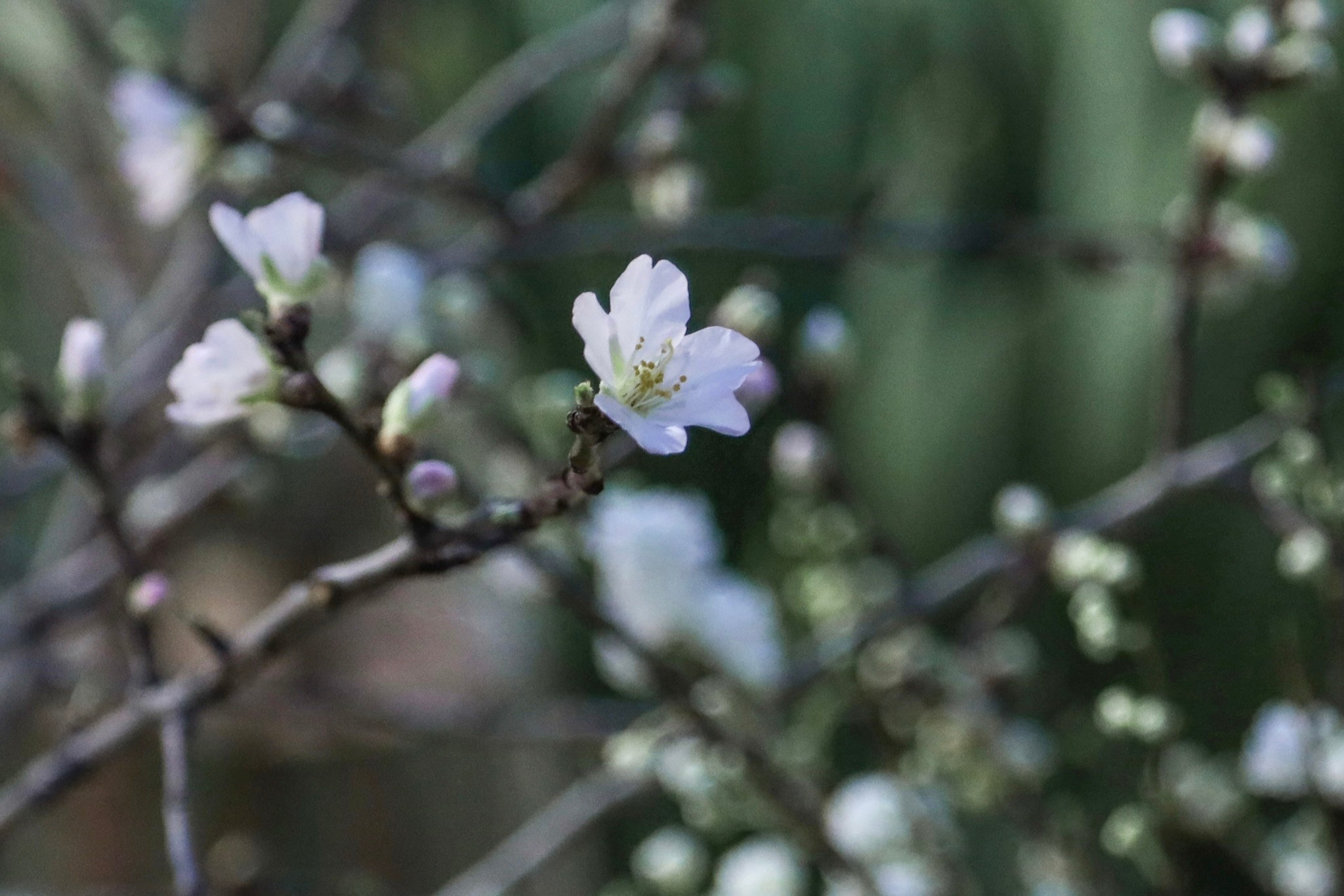 Фотографии с выставки Репетиция весны. Фотосессии и репортаж — Фотограф в Москве — Рина Серёгина