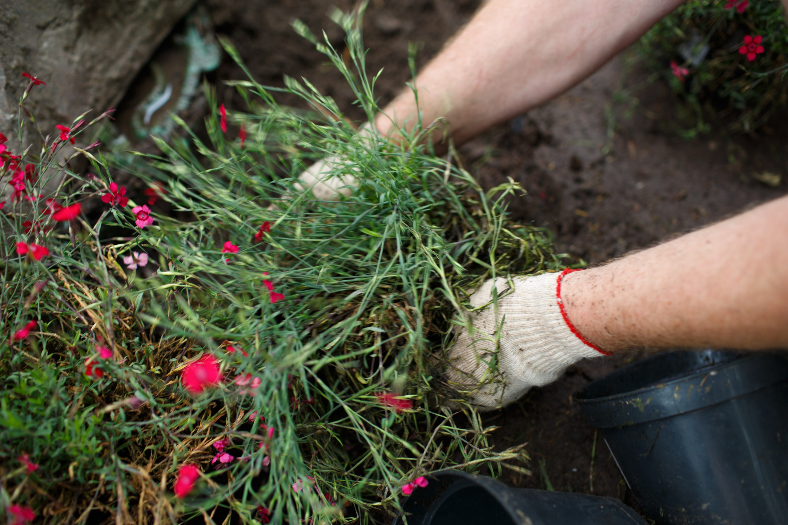 Ландшафтный дизайн. Фотограф Наталья Молчанова