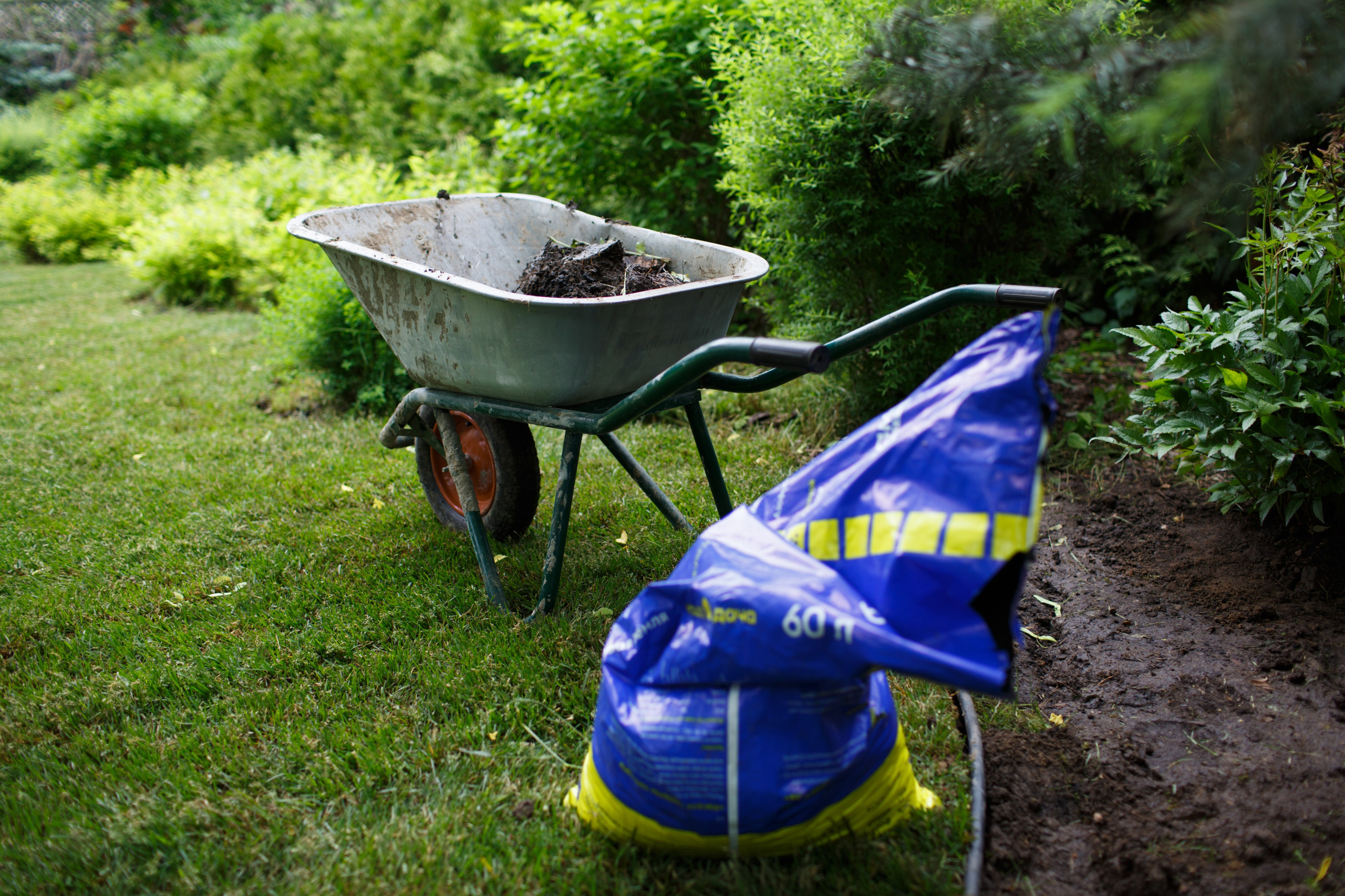 Ландшафтный дизайн. Фотограф Наталья Молчанова