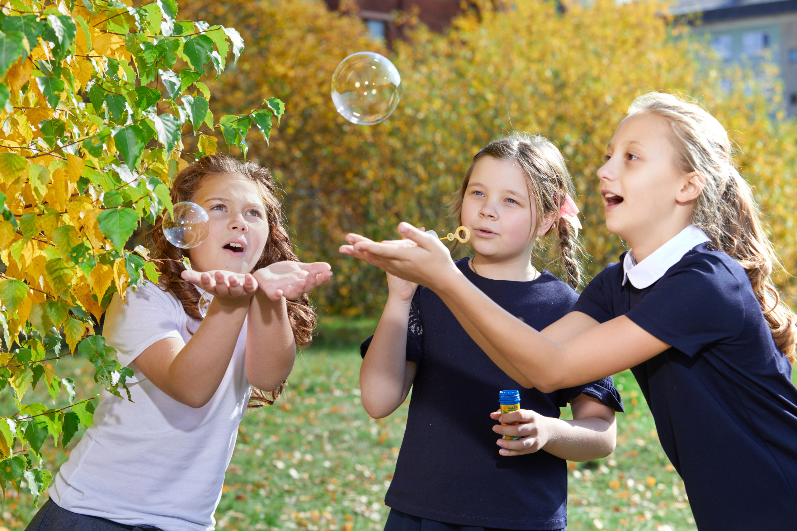 На природе с  начальной школой
