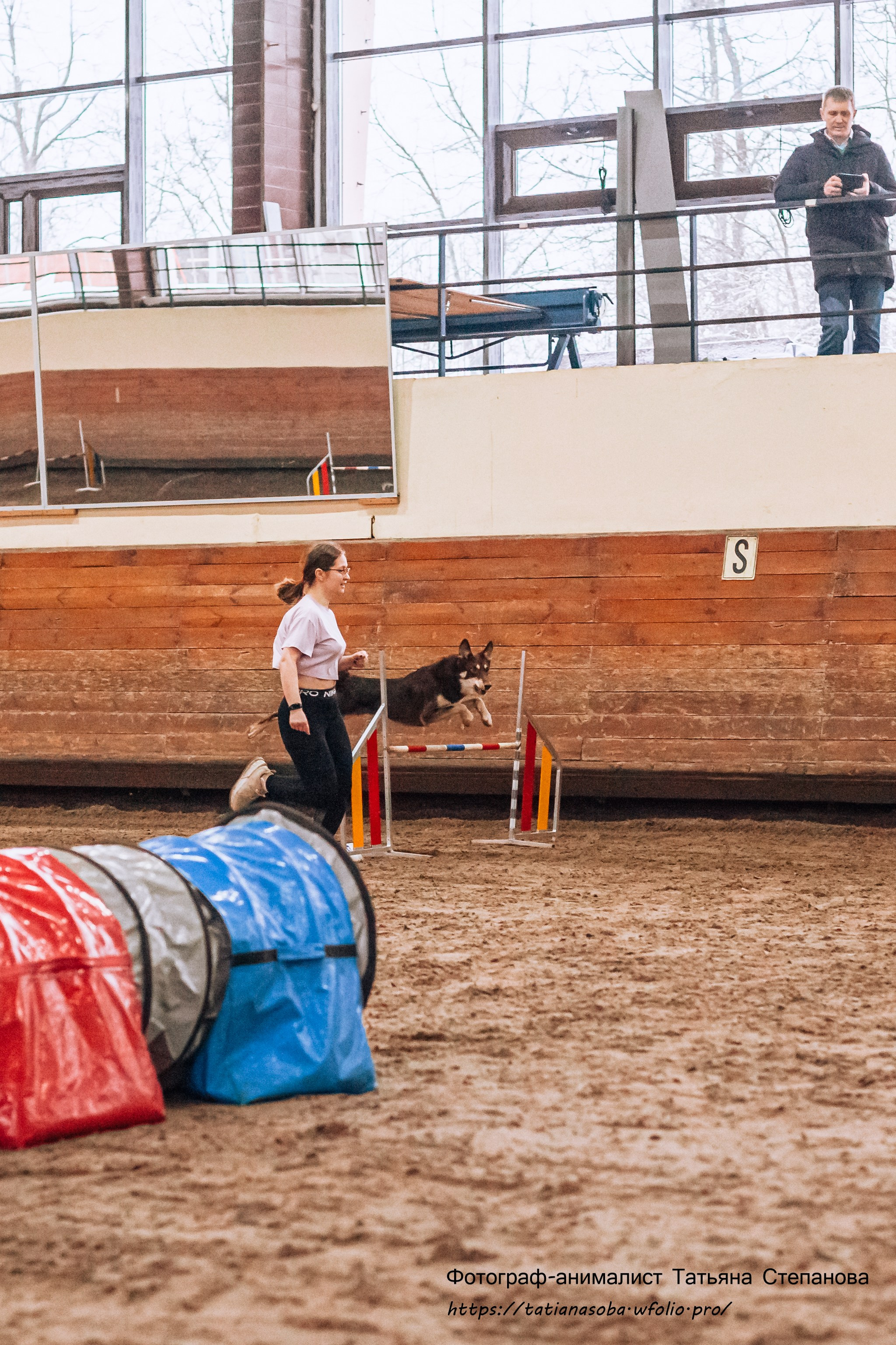 Соревнования по Аджилити 25.02.2024. Фотограф-анималист Татьяна Степанова