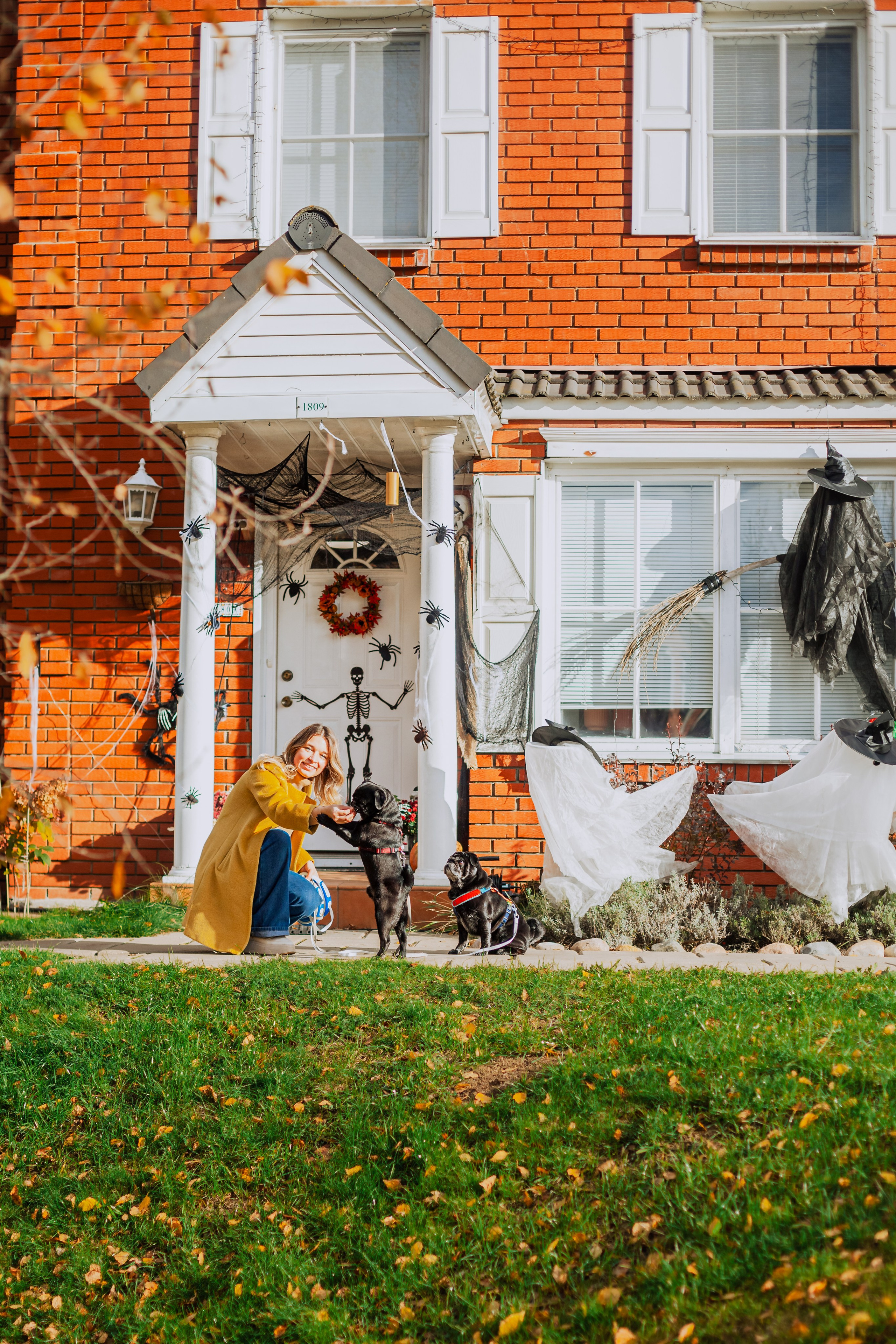 Оля, Харви, Луис. Фотограф-анималист Татьяна Степанова