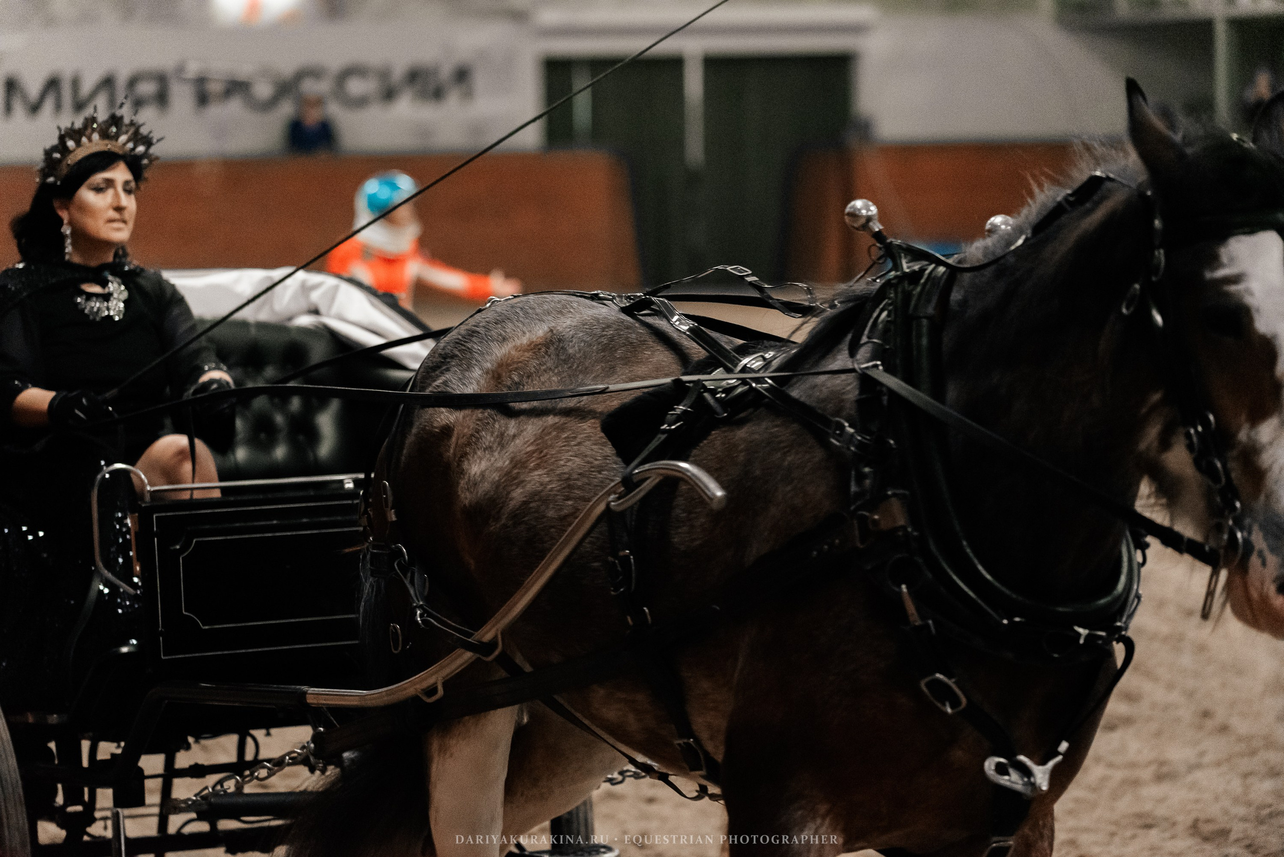 Конное представление «Дыхание Звёзд». Конный фотограф Куракина Дарья • Фотосессии с лошадьми