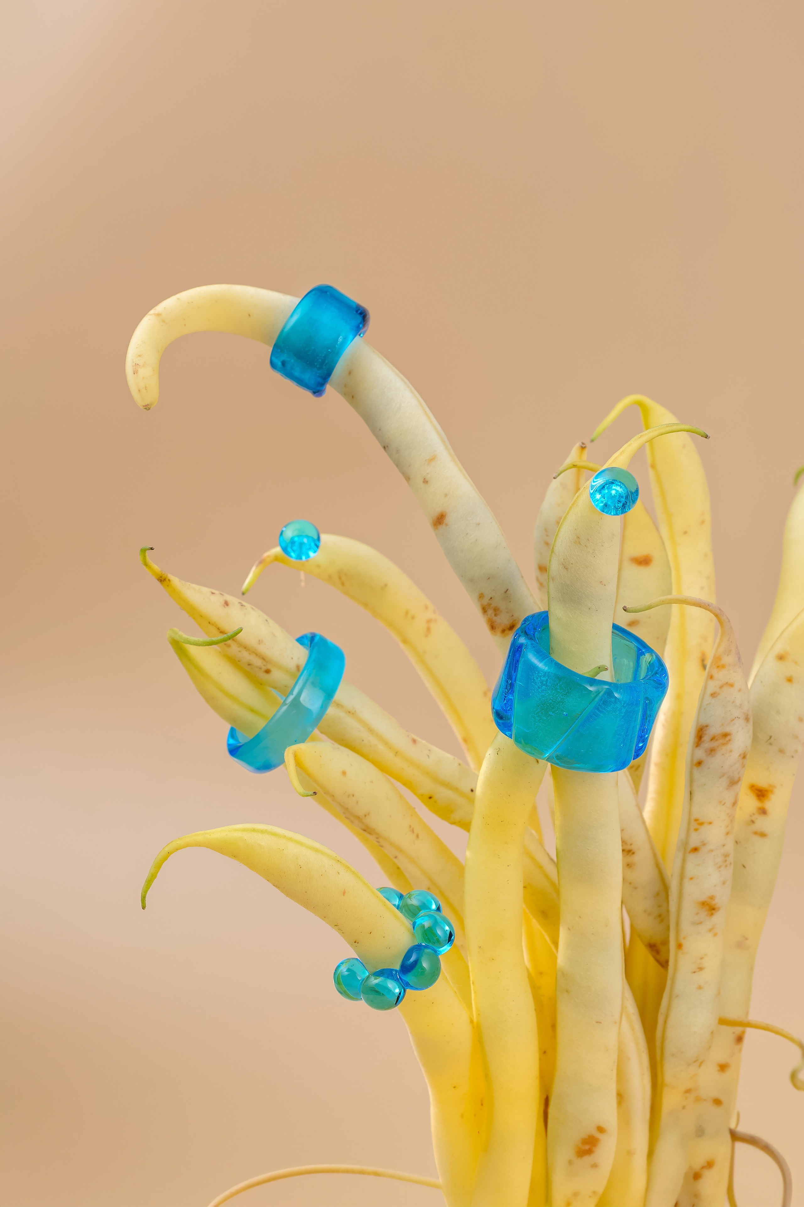 Jewelry. Рекламный, предметный и фудфотограф г. Иркутск