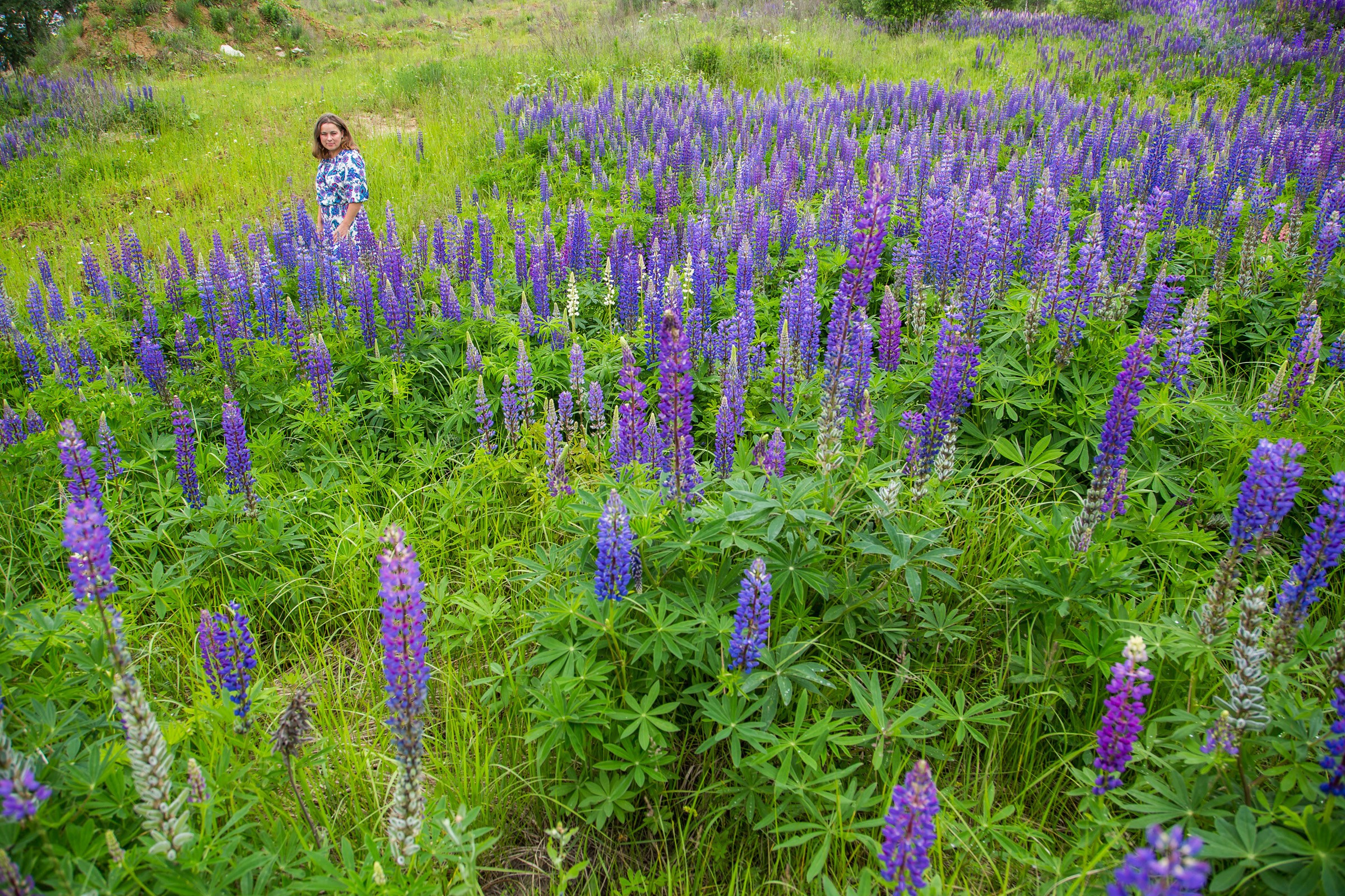 Фиолетовый цвет. Семьи, портреты, школьные съемки. Фотограф Лагутина Елена. Москва