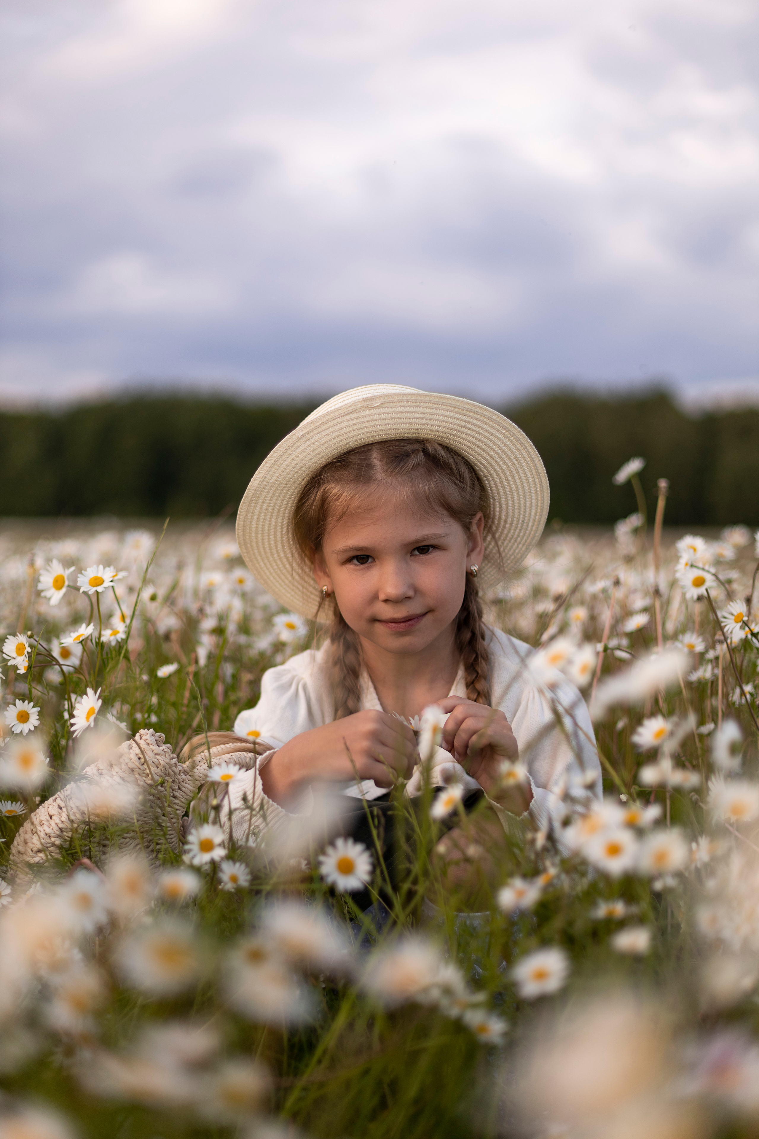 Ромашки. Юлия Разваркина фотограф Подольск