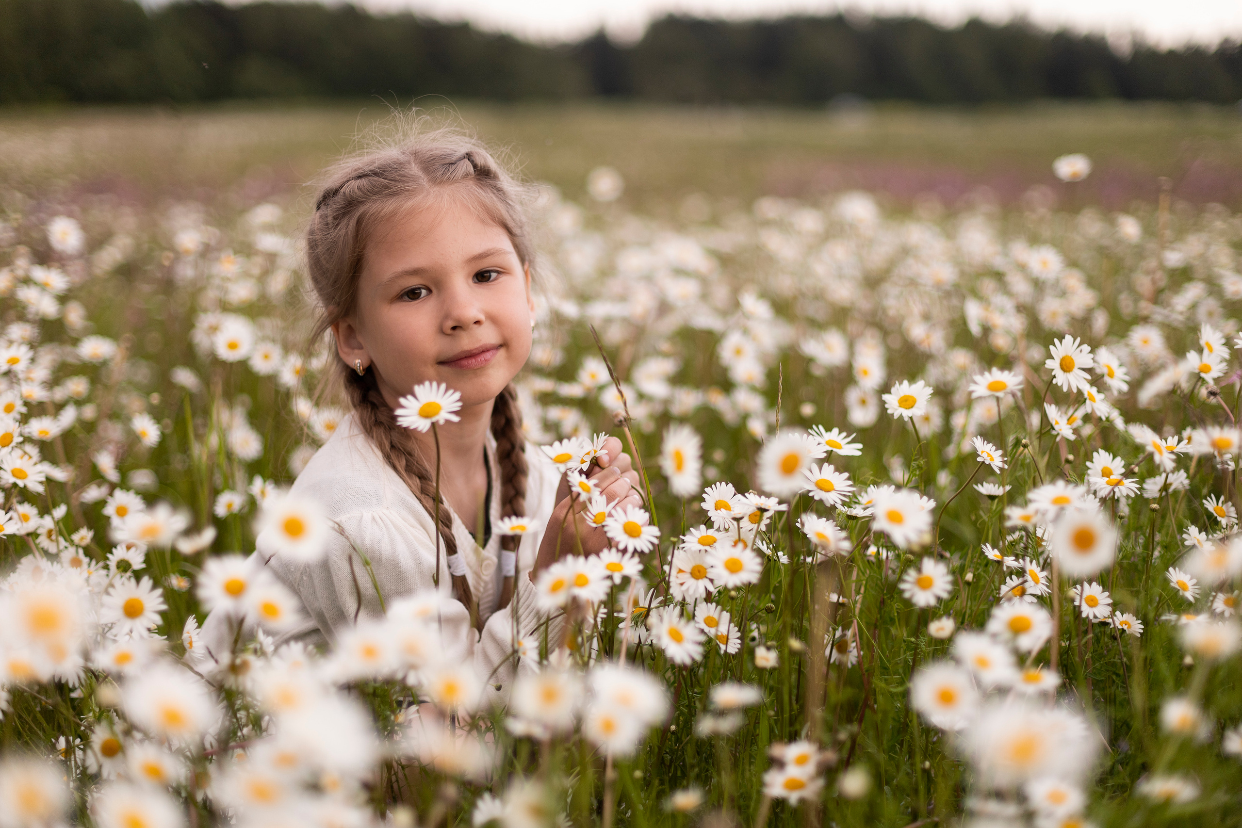 Ромашки. Юлия Разваркина фотограф Подольск