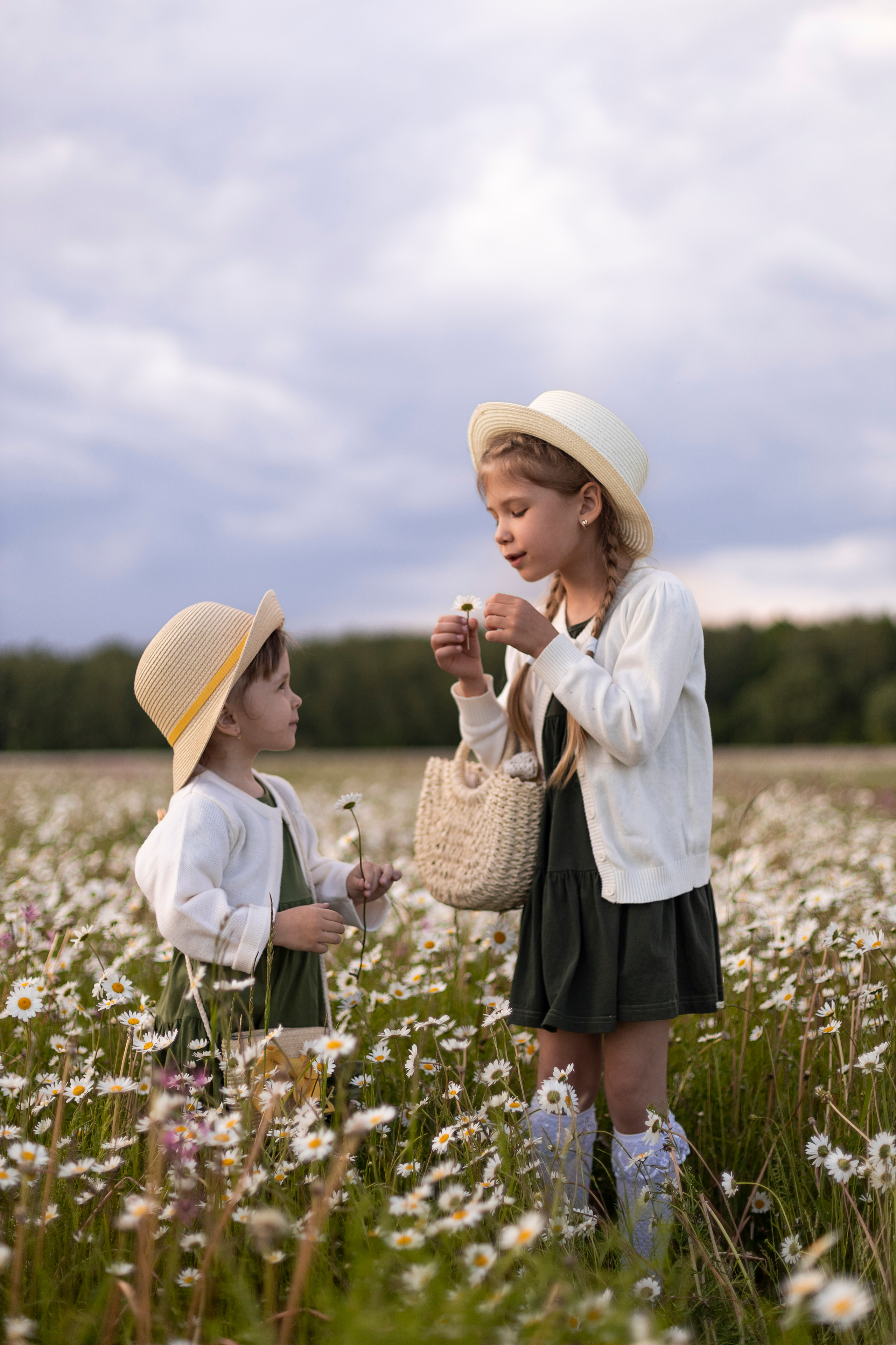 Ромашки. Юлия Разваркина фотограф Подольск