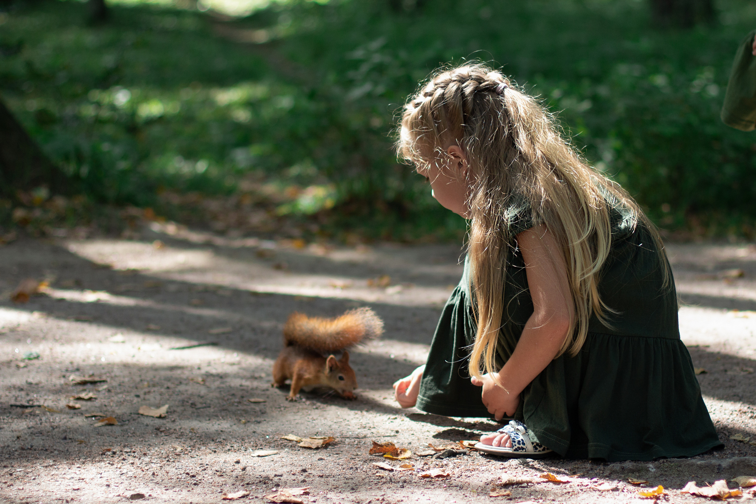 Девочки и белочки. Юлия Разваркина фотограф Подольск