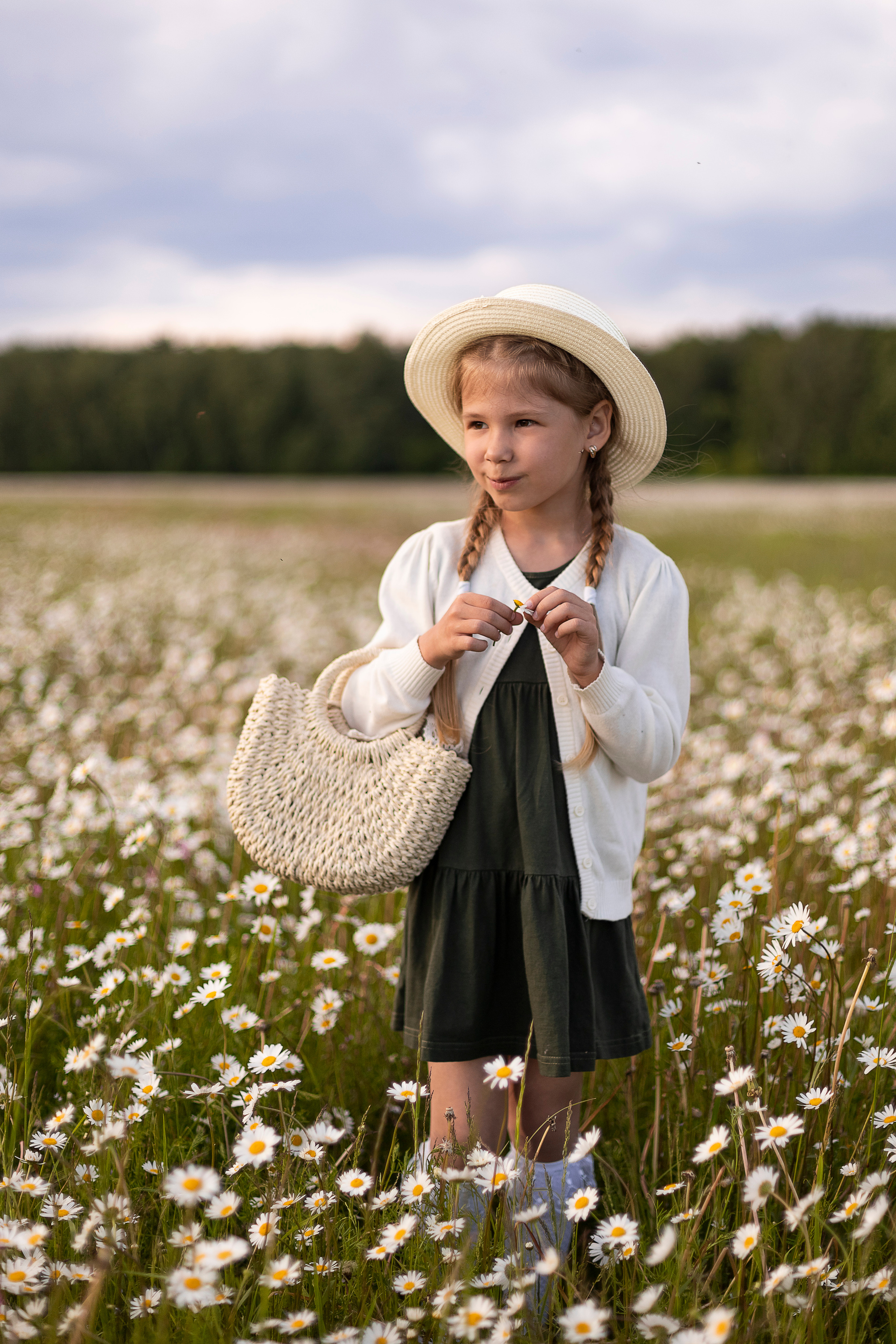 Ромашки. Юлия Разваркина фотограф Подольск
