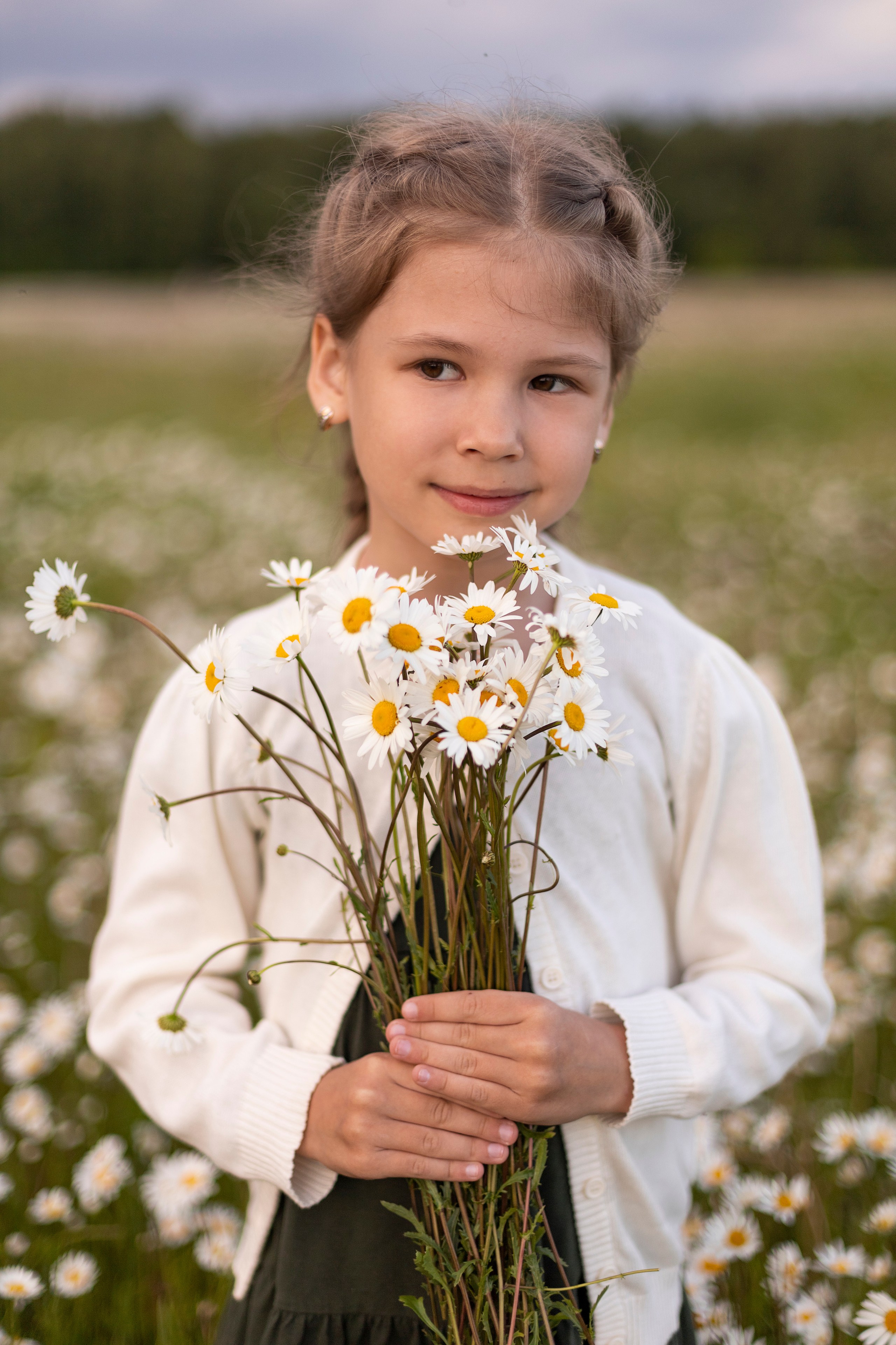Ромашки. Юлия Разваркина фотограф Подольск