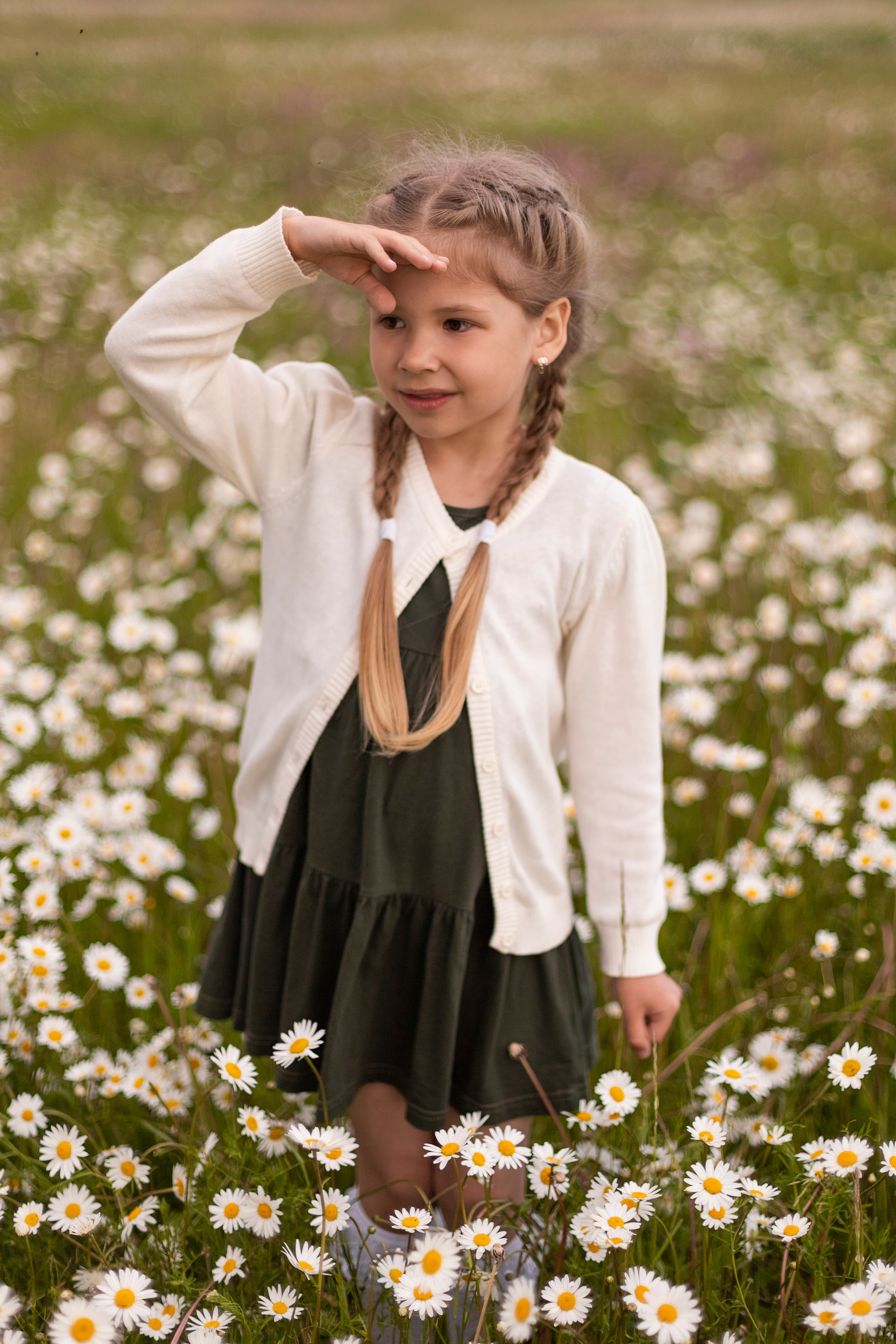 Ромашки. Юлия Разваркина фотограф Подольск