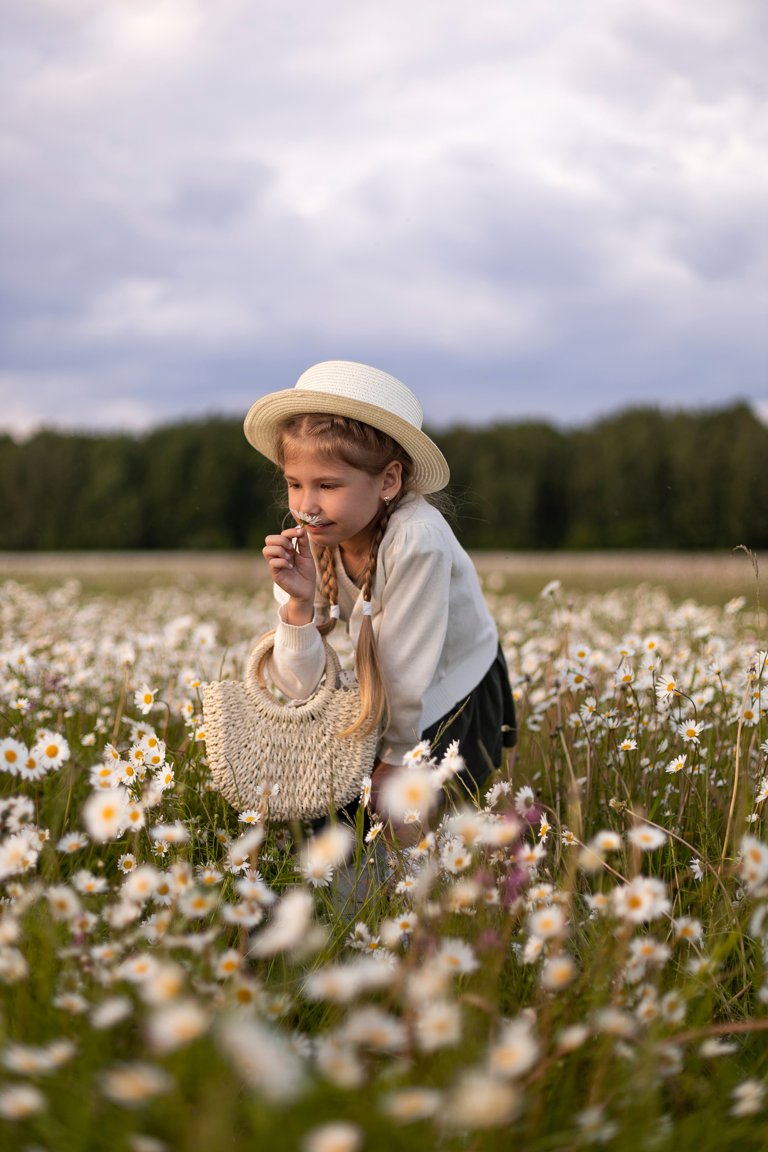 Ромашки. Юлия Разваркина фотограф Подольск