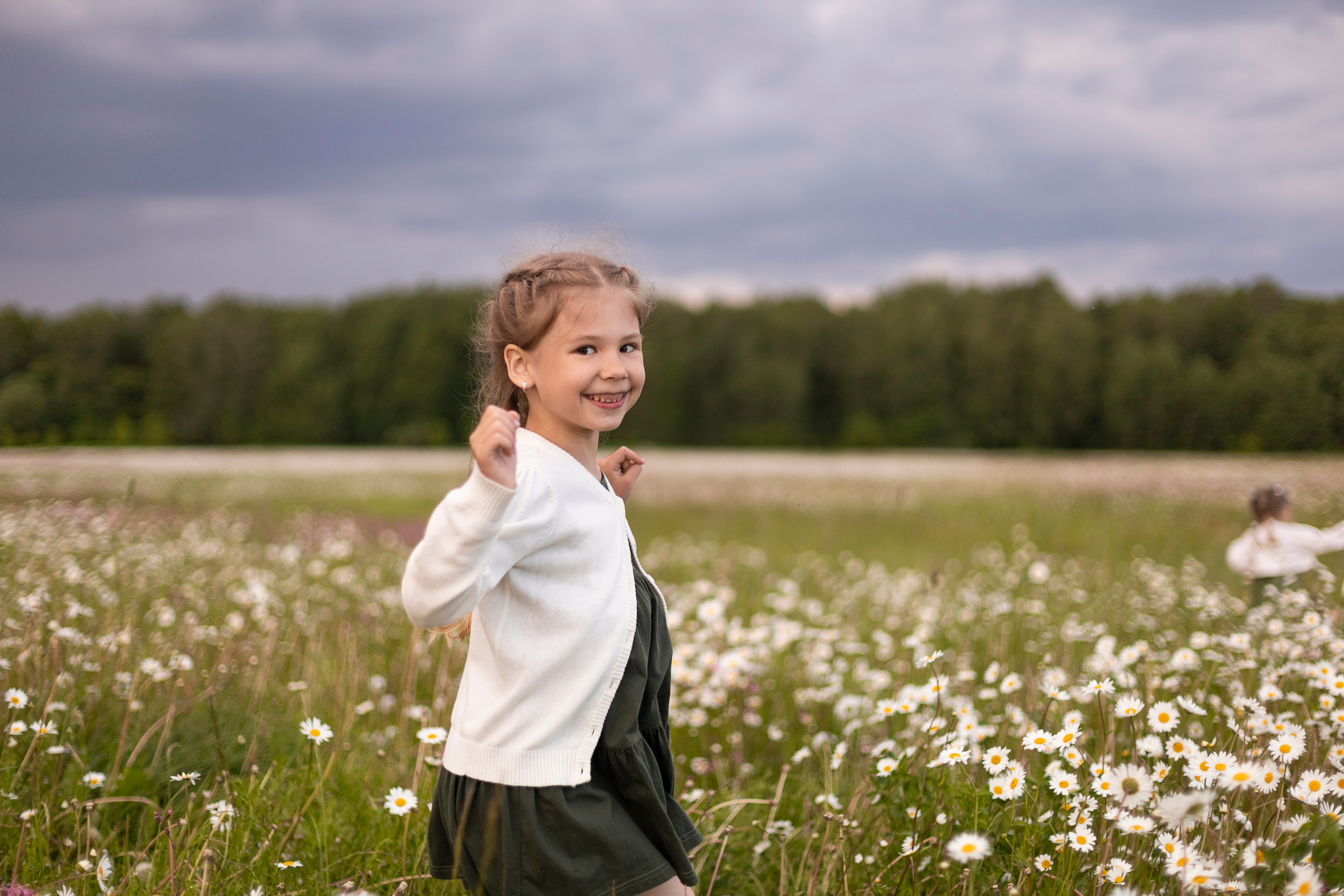 Ромашки. Юлия Разваркина фотограф Подольск