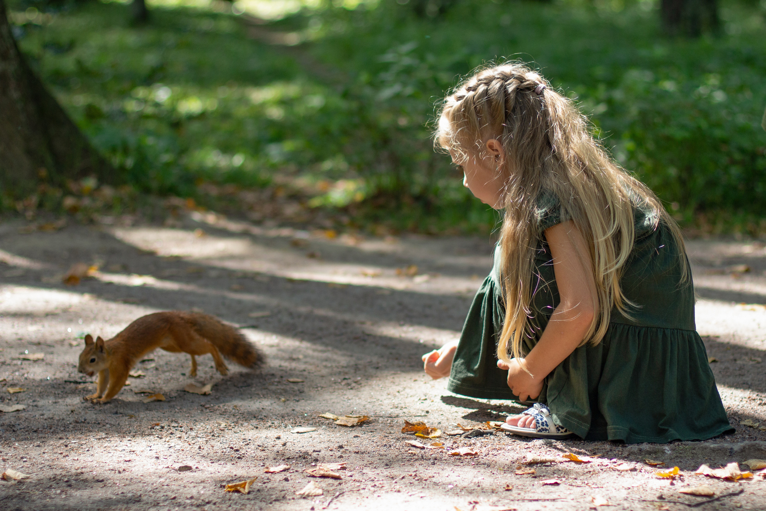 Девочки и белочки. Юлия Разваркина фотограф Подольск