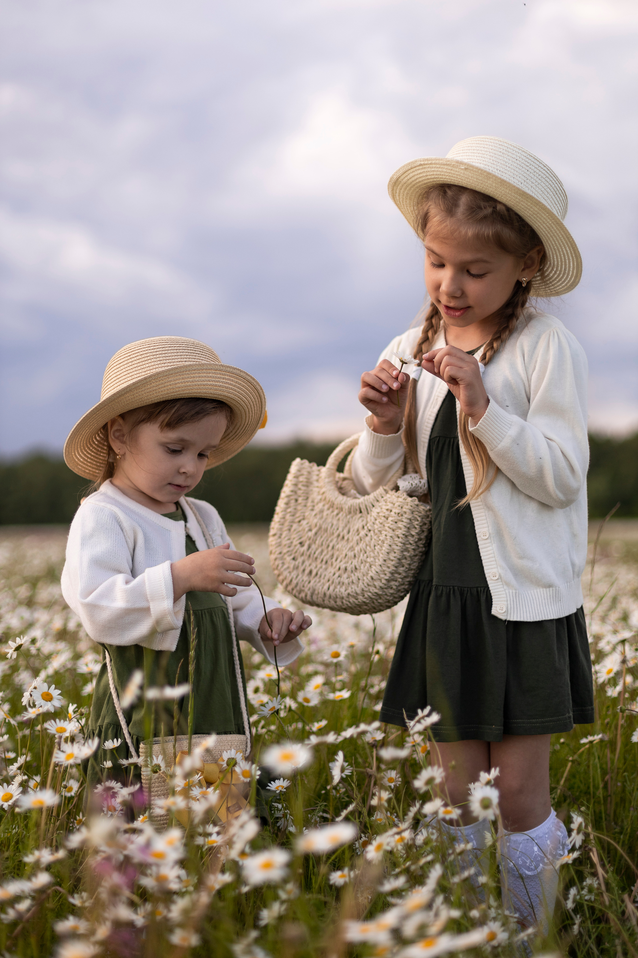 Ромашки. Юлия Разваркина фотограф Подольск