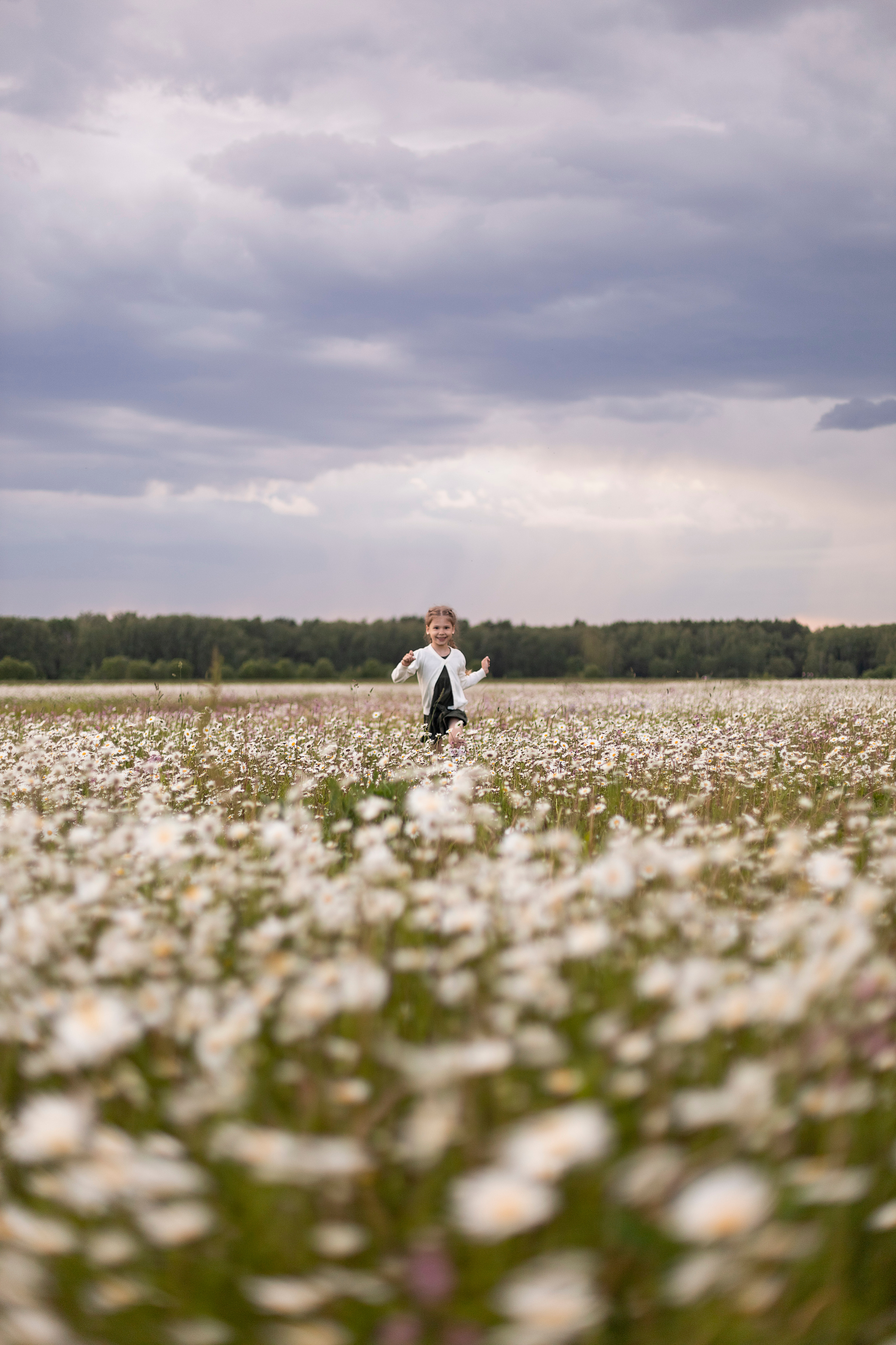 Ромашки. Юлия Разваркина фотограф Подольск