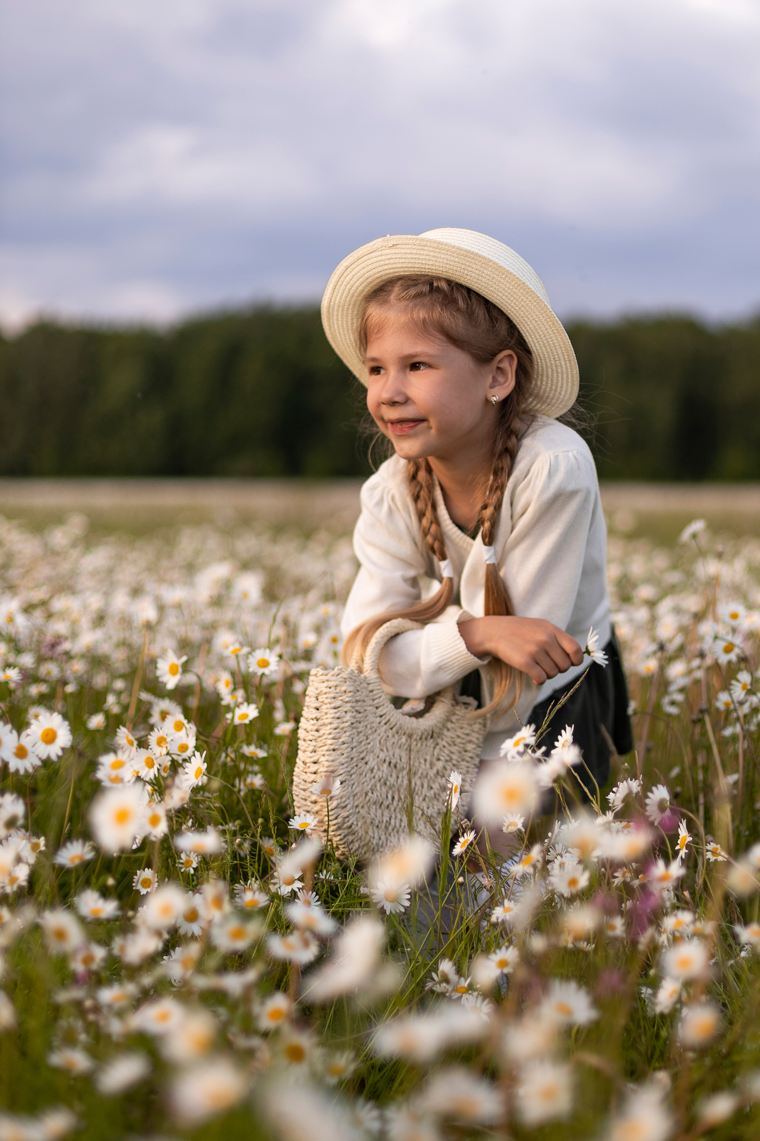 Ромашки. Юлия Разваркина фотограф Подольск